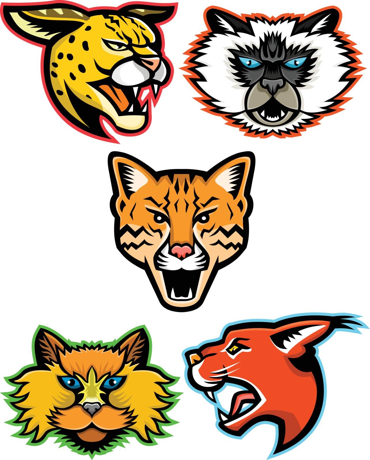 Sports mascot icon set of heads of wild and domestic cats like the serval, Himalayan cat, ocelot, Selkirk Rex cat and the caracal cat  viewed from side  on isolated background in retro style.