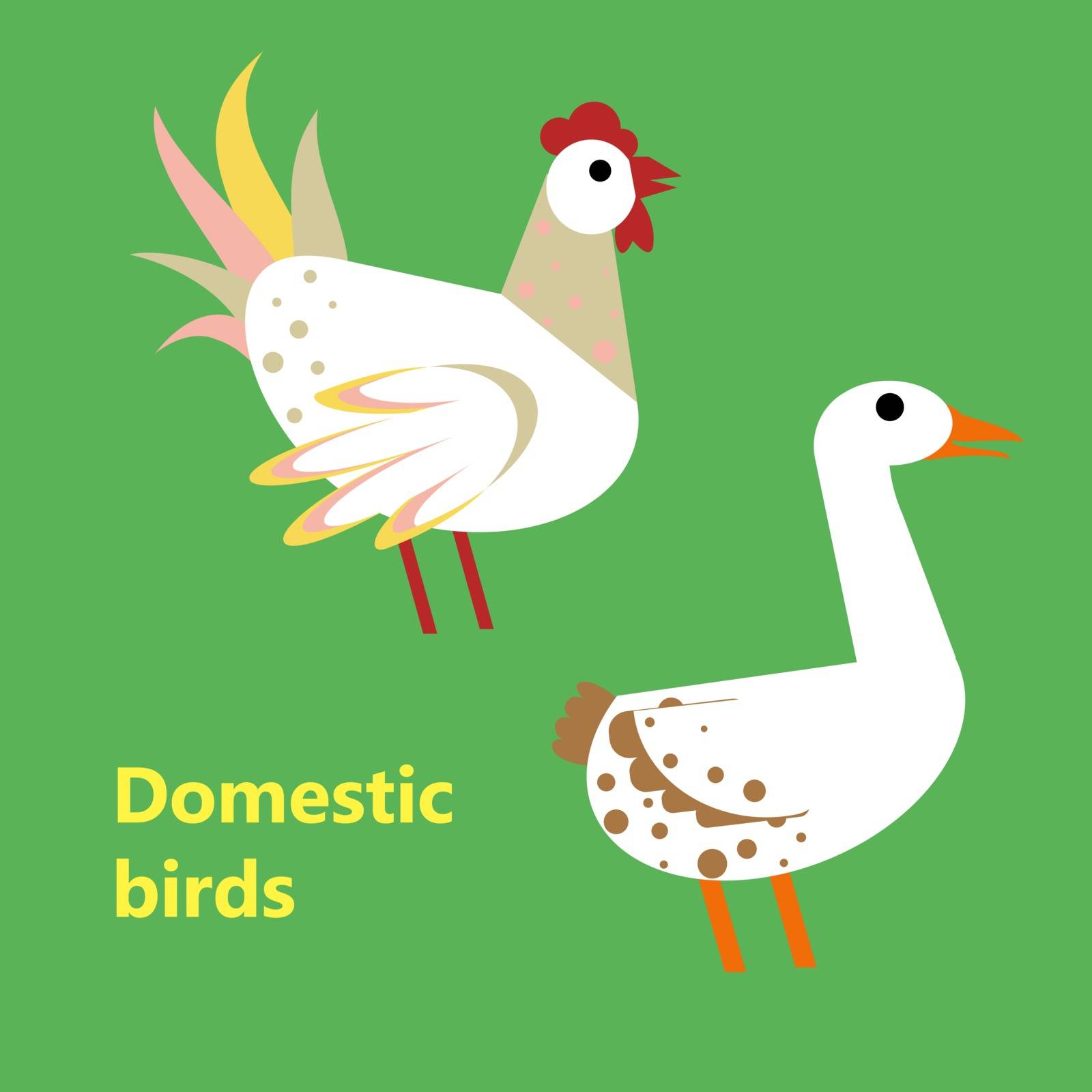 The Domestic birds rooster and goose on simple color background. Educational flashcard for teaching preschool in kindergarten. Colorful flat cartoon style illustration.