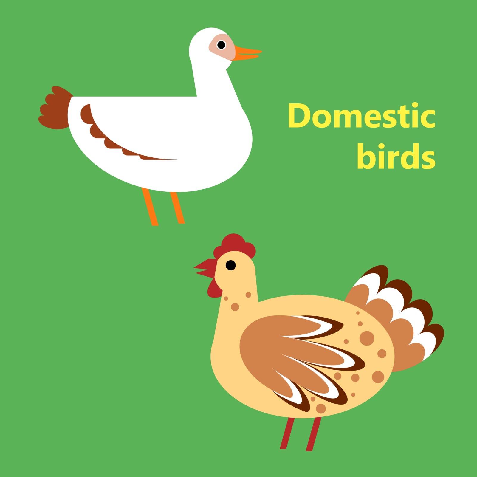 The Domestic birds duck and hen on simple color background. Educational flashcard for teaching preschool in kindergarten. Colorful flat cartoon style illustration.