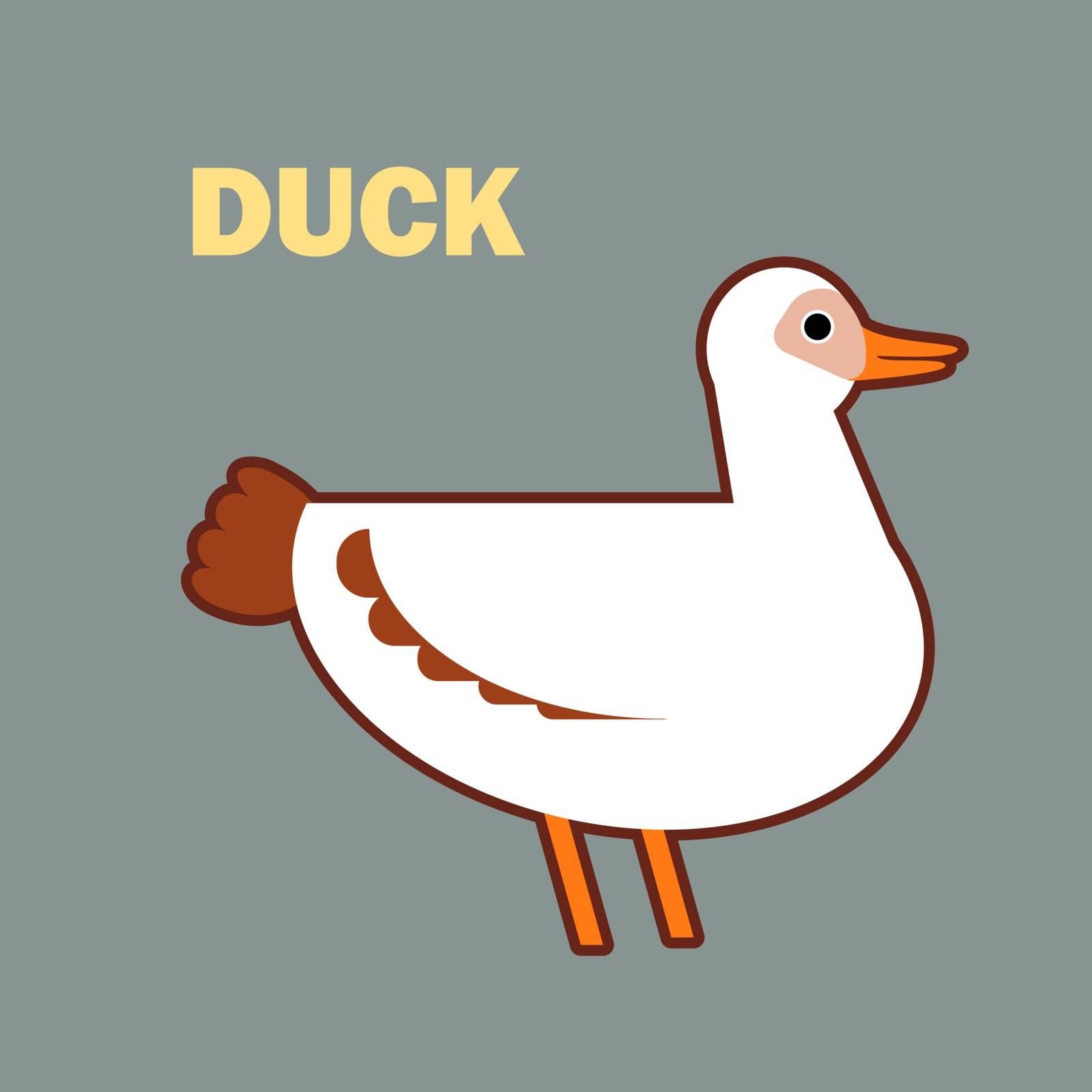 The isolated Domestic bird duck on simple color background. Educational flashcard for teaching preschool in kindergarten. Colorful flat cartoon style illustration.
