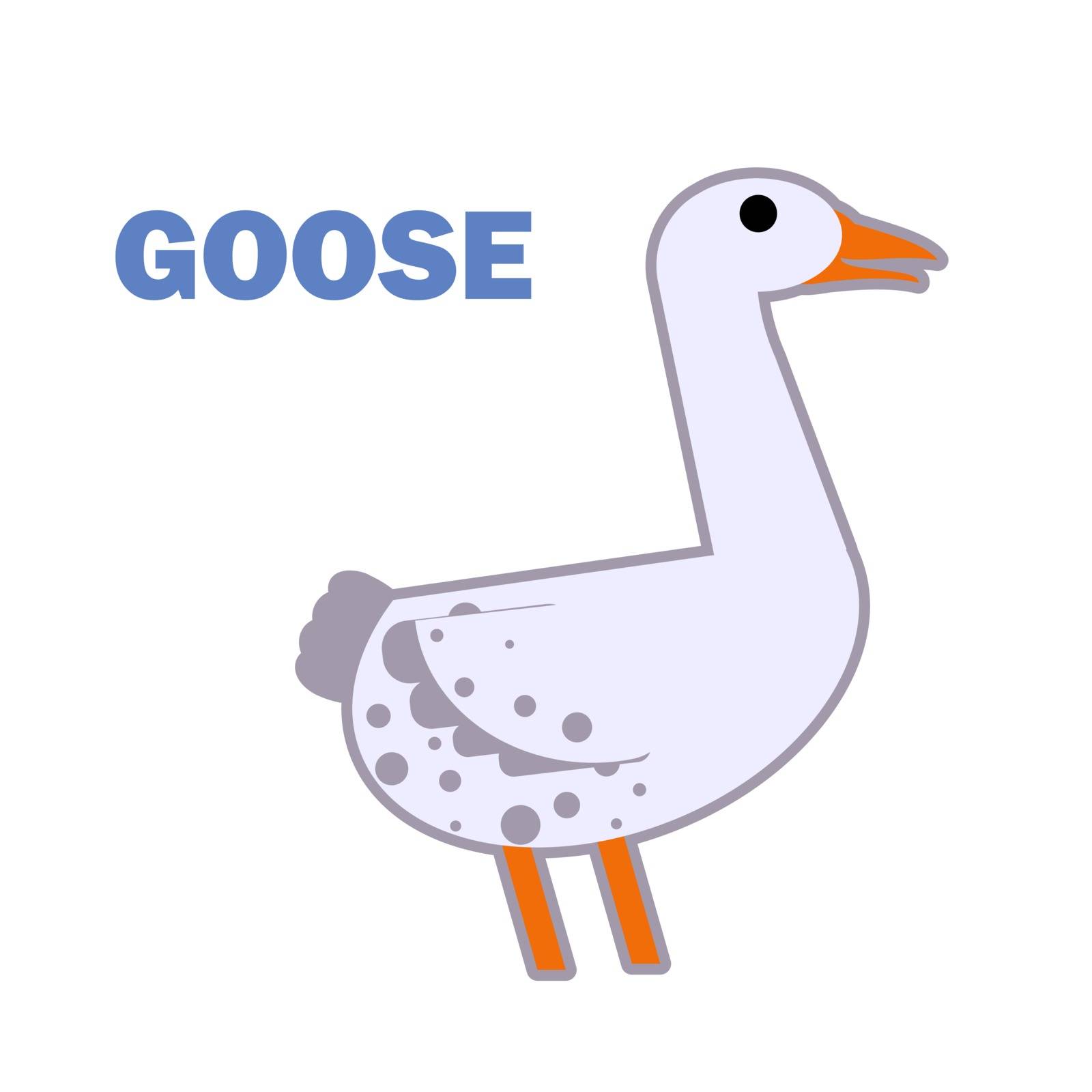 The simple flat Domestic bird goose isolated on white. Educational flashcard for teaching preschool in kindergarten. Colorful flat cartoon style illustration.