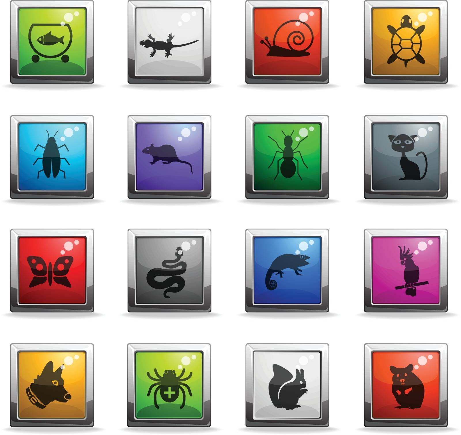pets web icons in square colored buttons for user interface design