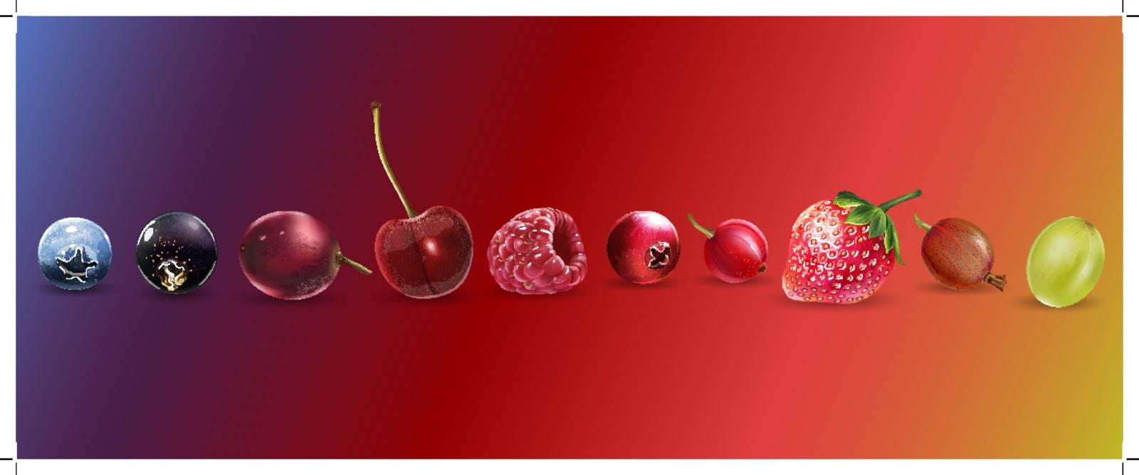 Cherries, strawberries, gooseberries, blueberries, raspberries, currants, blackberries, grapes and cranberries illustrations.