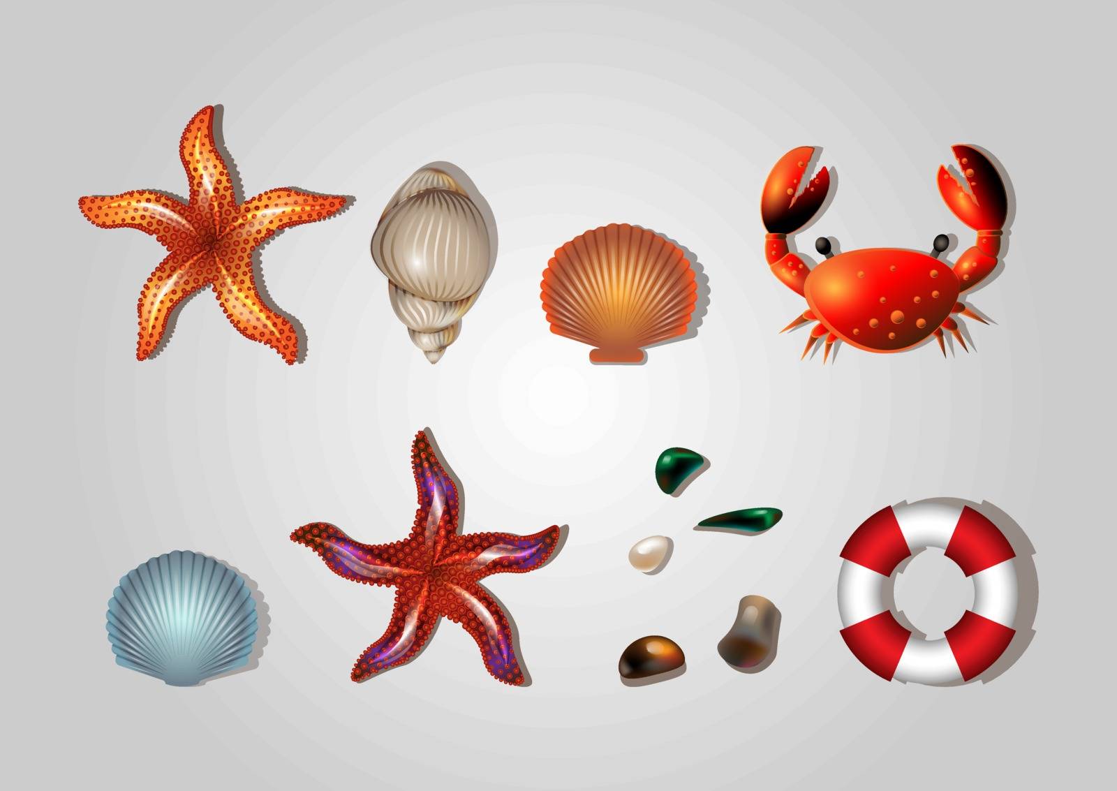 Sea set of lifebuoys, shells, crab, starfish and sea pebbles by Musjaka