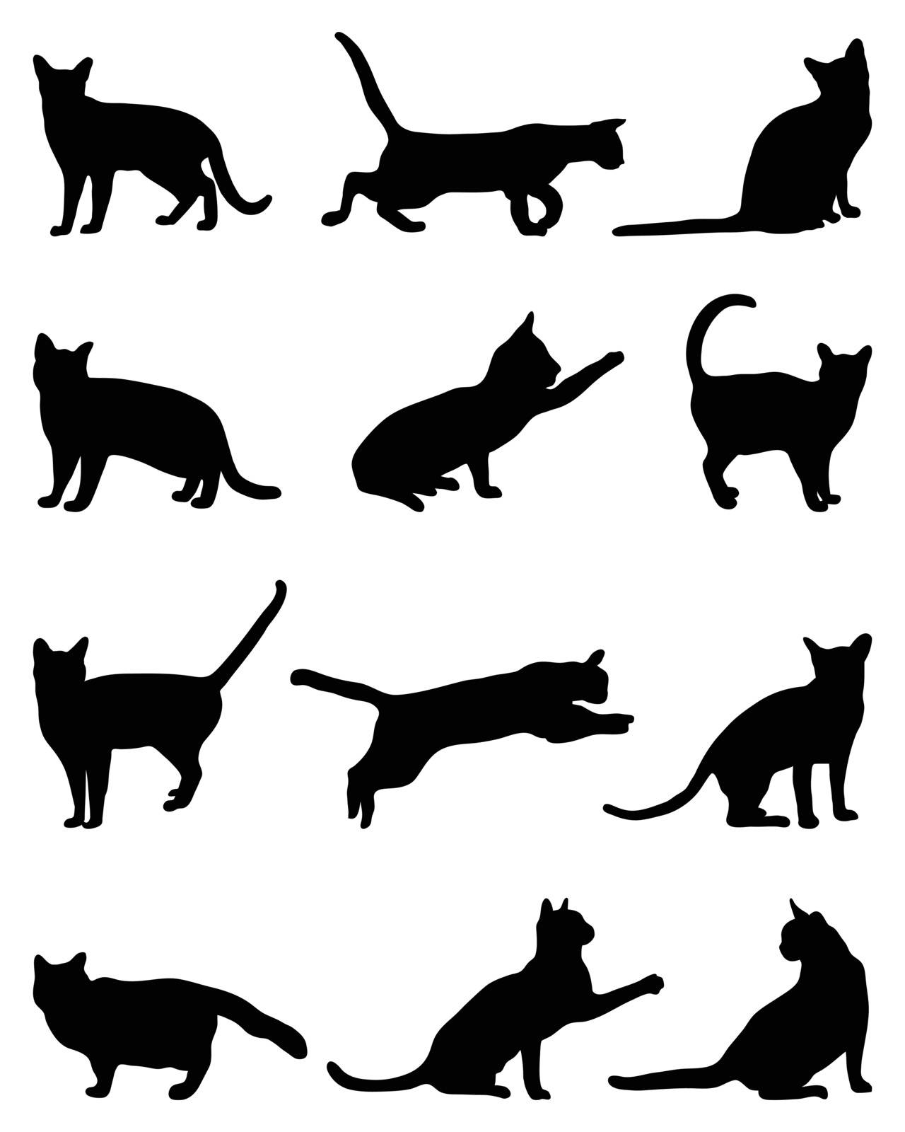 Black silhouettes of cats on a white background