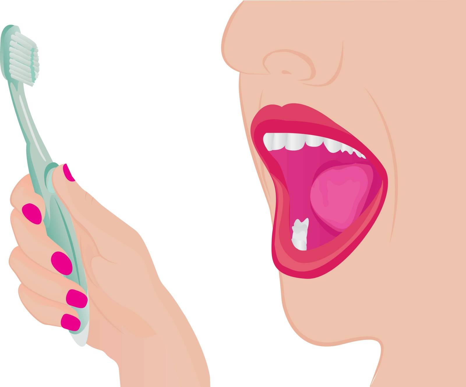 A girl cleaning teeth. A toothbrush in a hand and a opened mouth Oral hygien vector  illustration