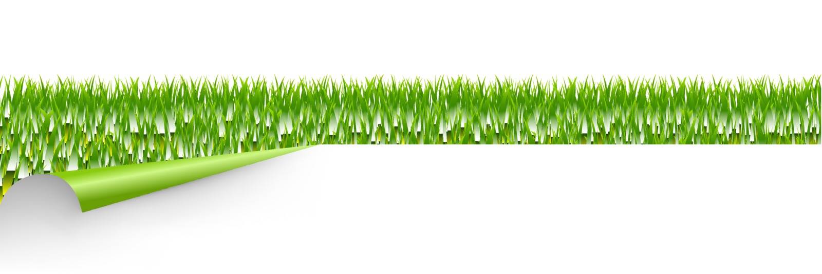 Green Grass With Green Corner With Gradient Mesh, Vector Illustration