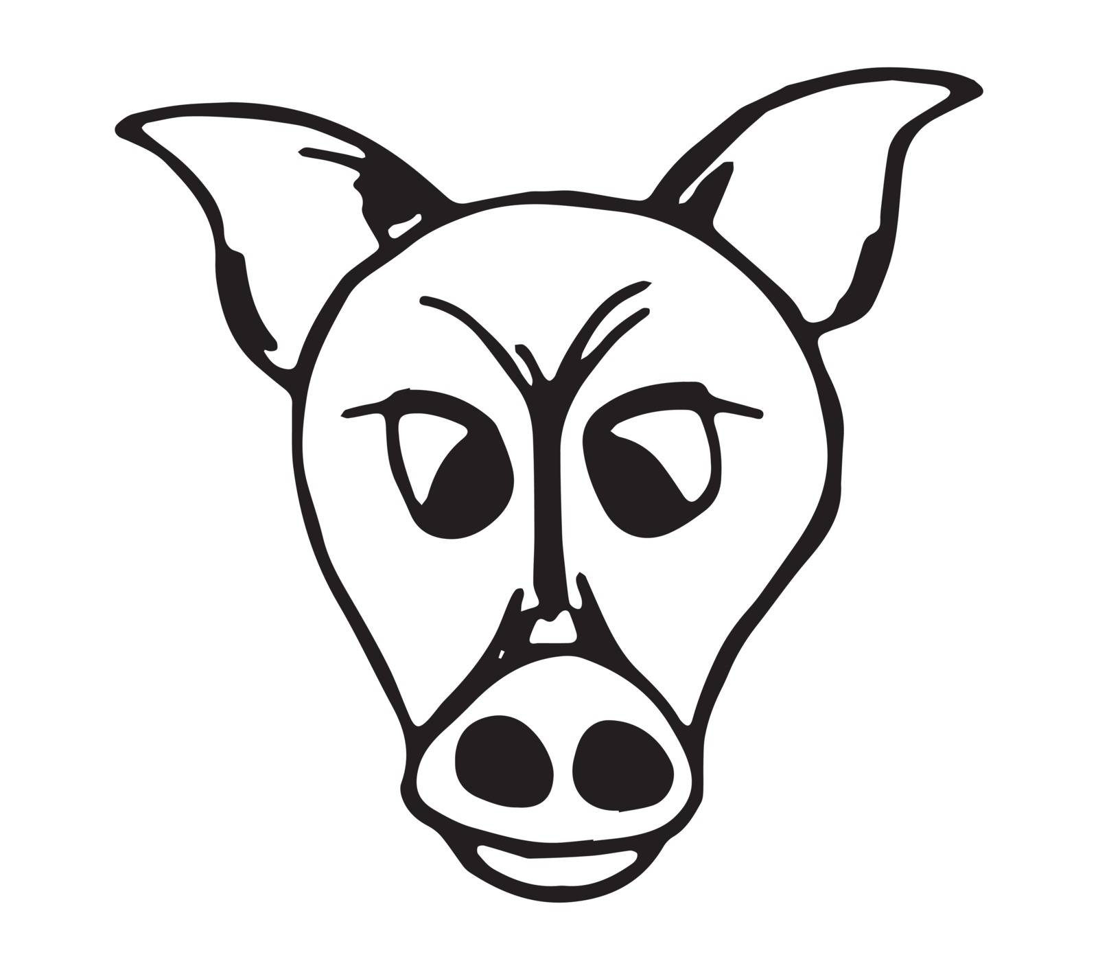 Head of pig animal. Sketch, isolated on white background.