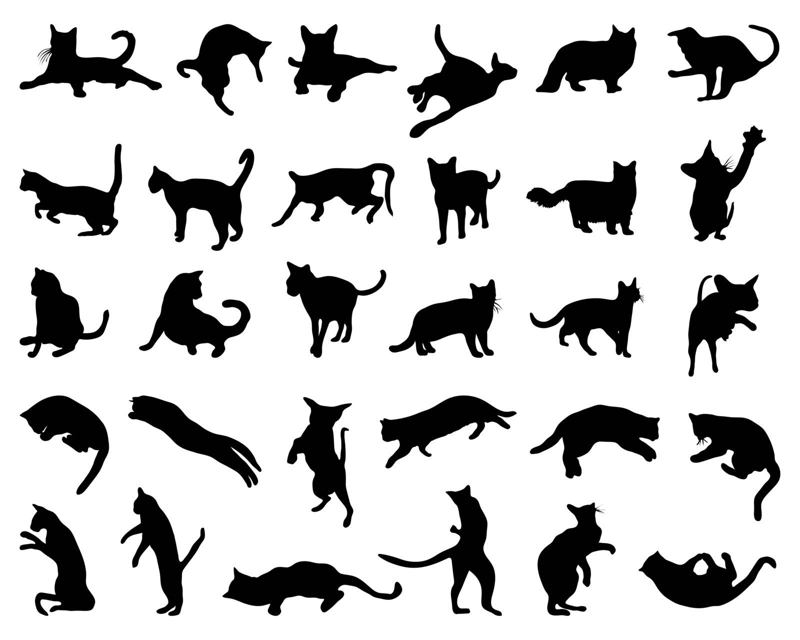 silhouette of cats by ratkomat