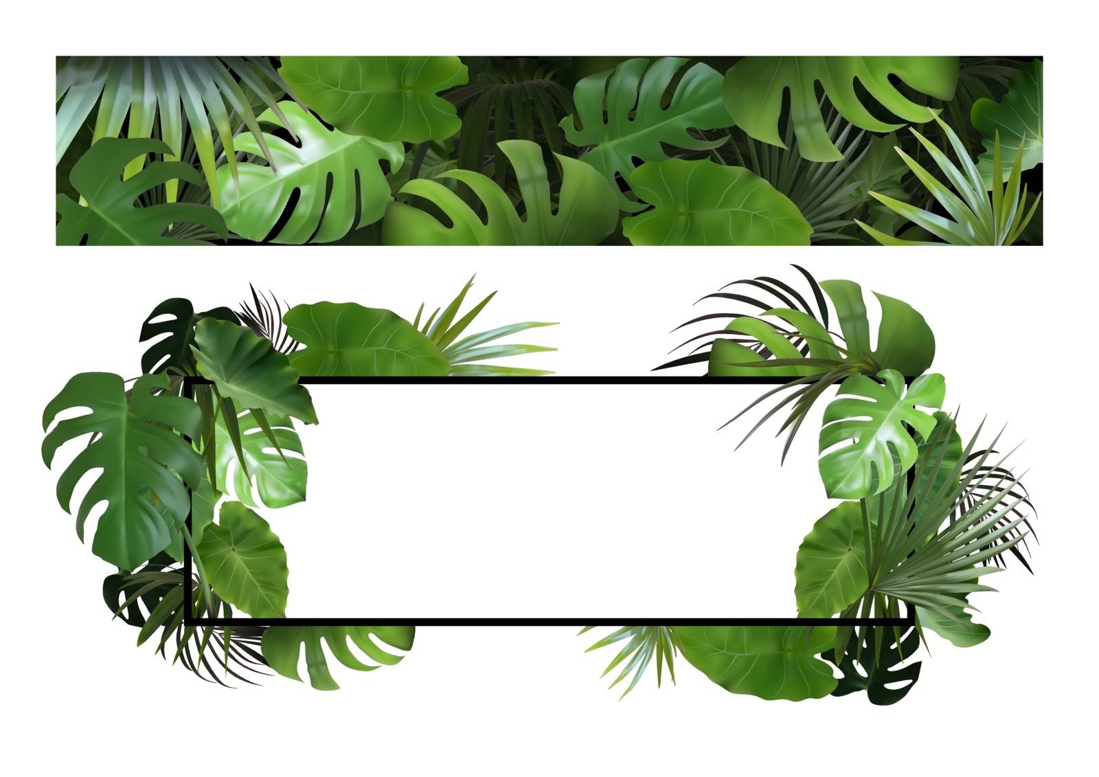 Set of Banners with Tropical Leaves by illustratorCZ