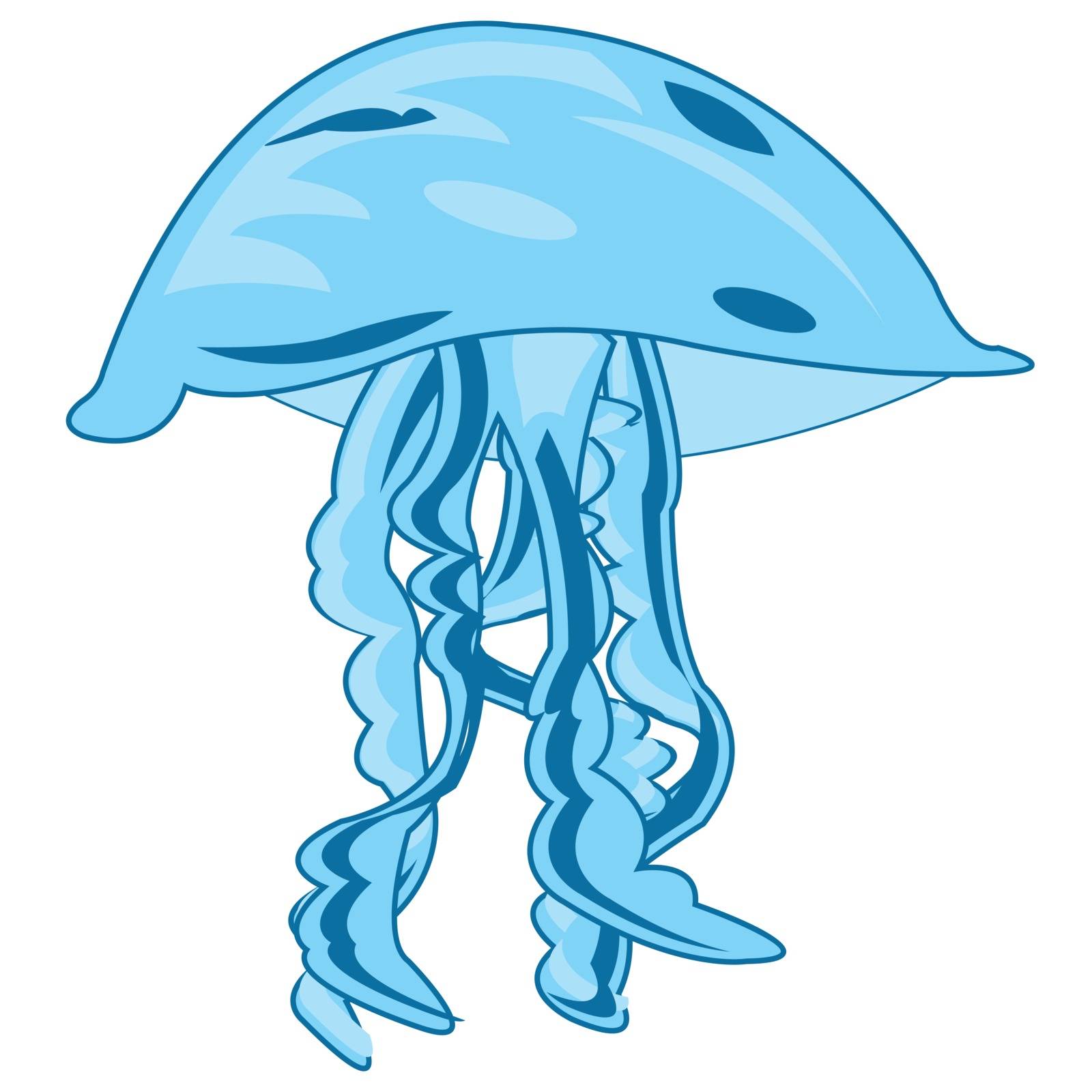 Vector illustration sea animal medusa drawing on white background