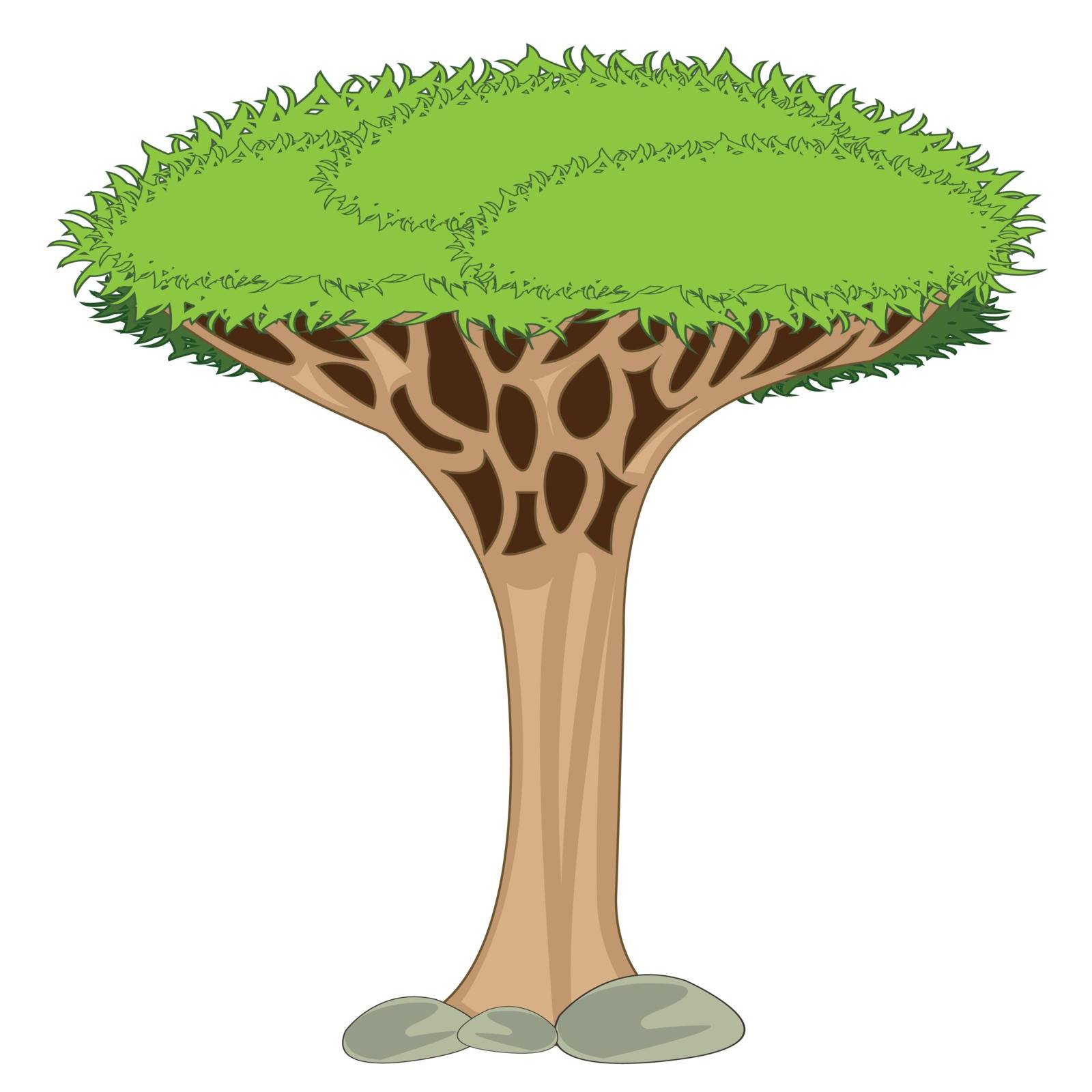 Vector illustration exotic dragon tree of the unique type
