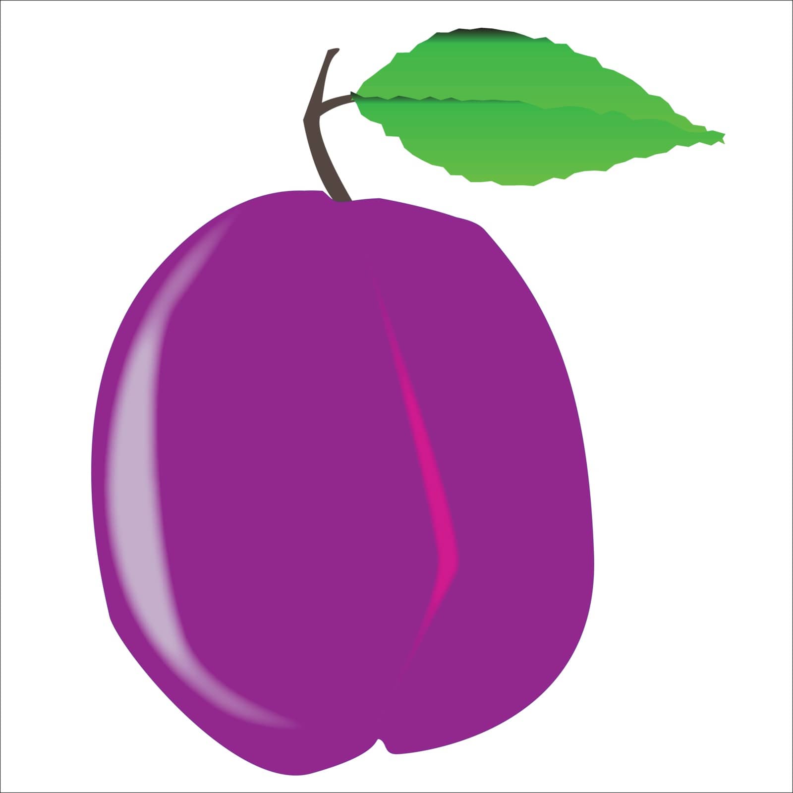 A sole purple isolated plum with green leaf and stalk