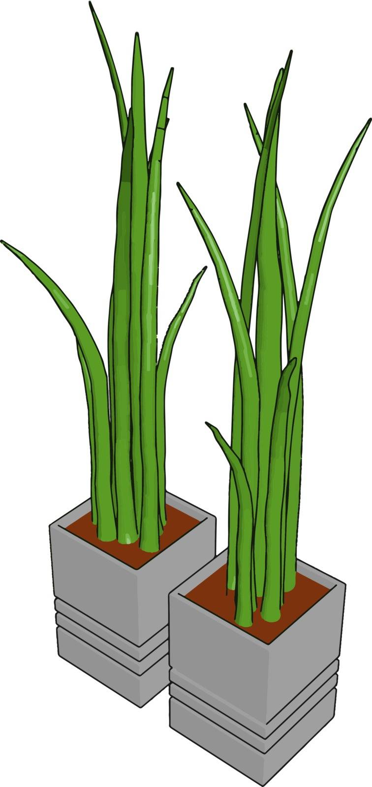 Grass in a pot, illustration, vector on white background.