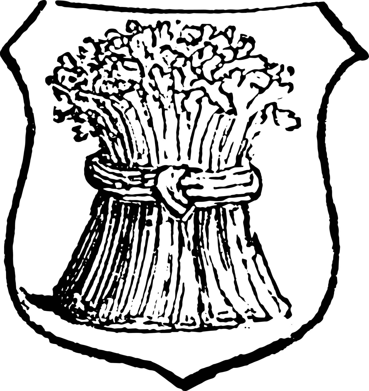 Garbe is a heraldic term for a sheaf of any kind of corn, vintage line drawing or engraving illustration.