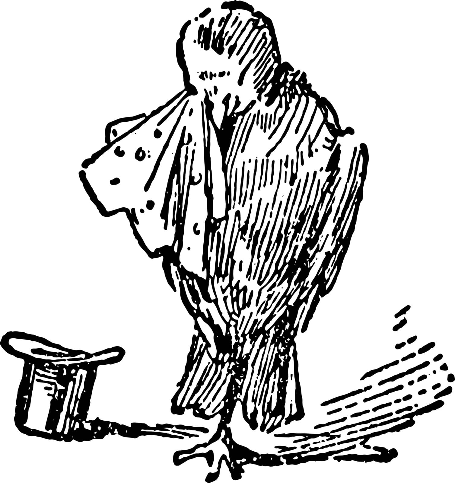 The Death and Burial of Robin this scene shows a bird wiping tears with cloth and hat on ground vintage line drawing or engraving illustration