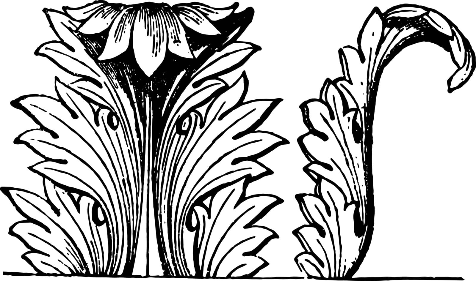 Acanthus Decoration is an acanthus decoration of an architectural column, vintage line drawing or engraving illustration.