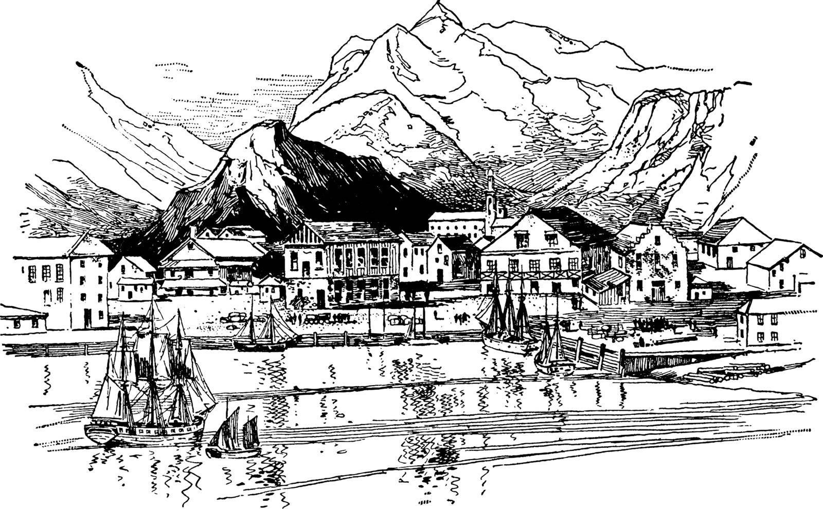 This image represents From the Harbor a Bit of Honolulu, vintage line drawing or engraving illustration.