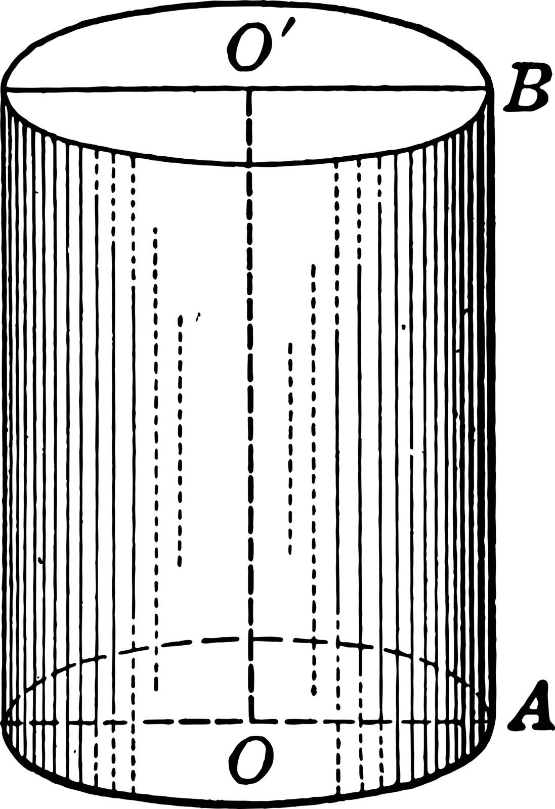 The axis of a right circular cylinder is the line joining the centers of the bases. Axis Line O is vertical to both circular bases, vintage line drawing or engraving illustration.