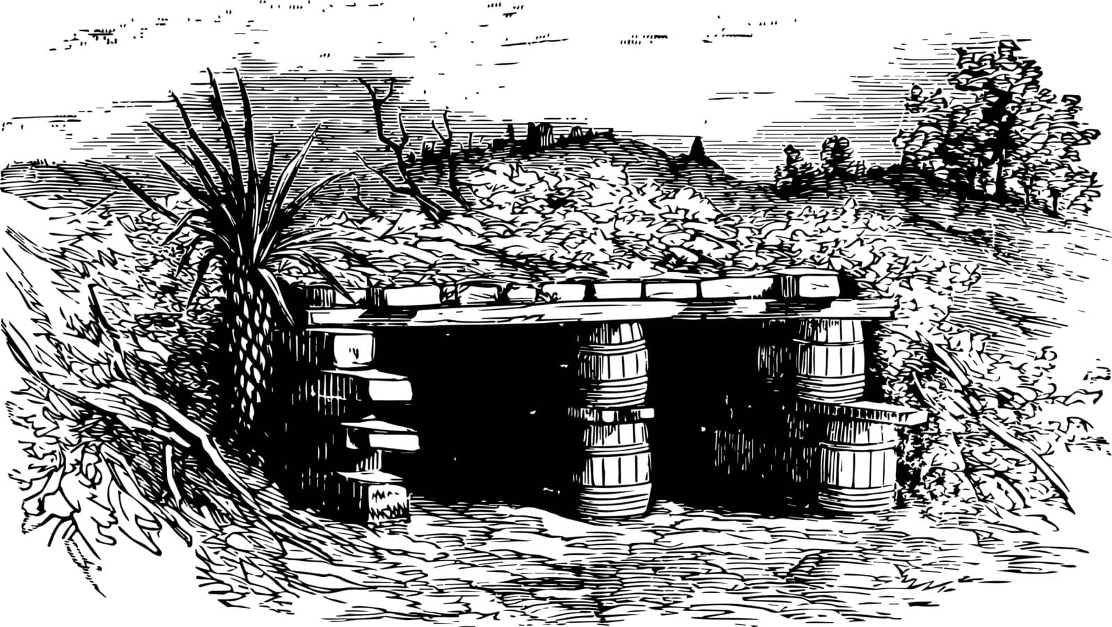 Bomb and Splinter Proof of Fort Wagner, vintage illustration. by Morphart