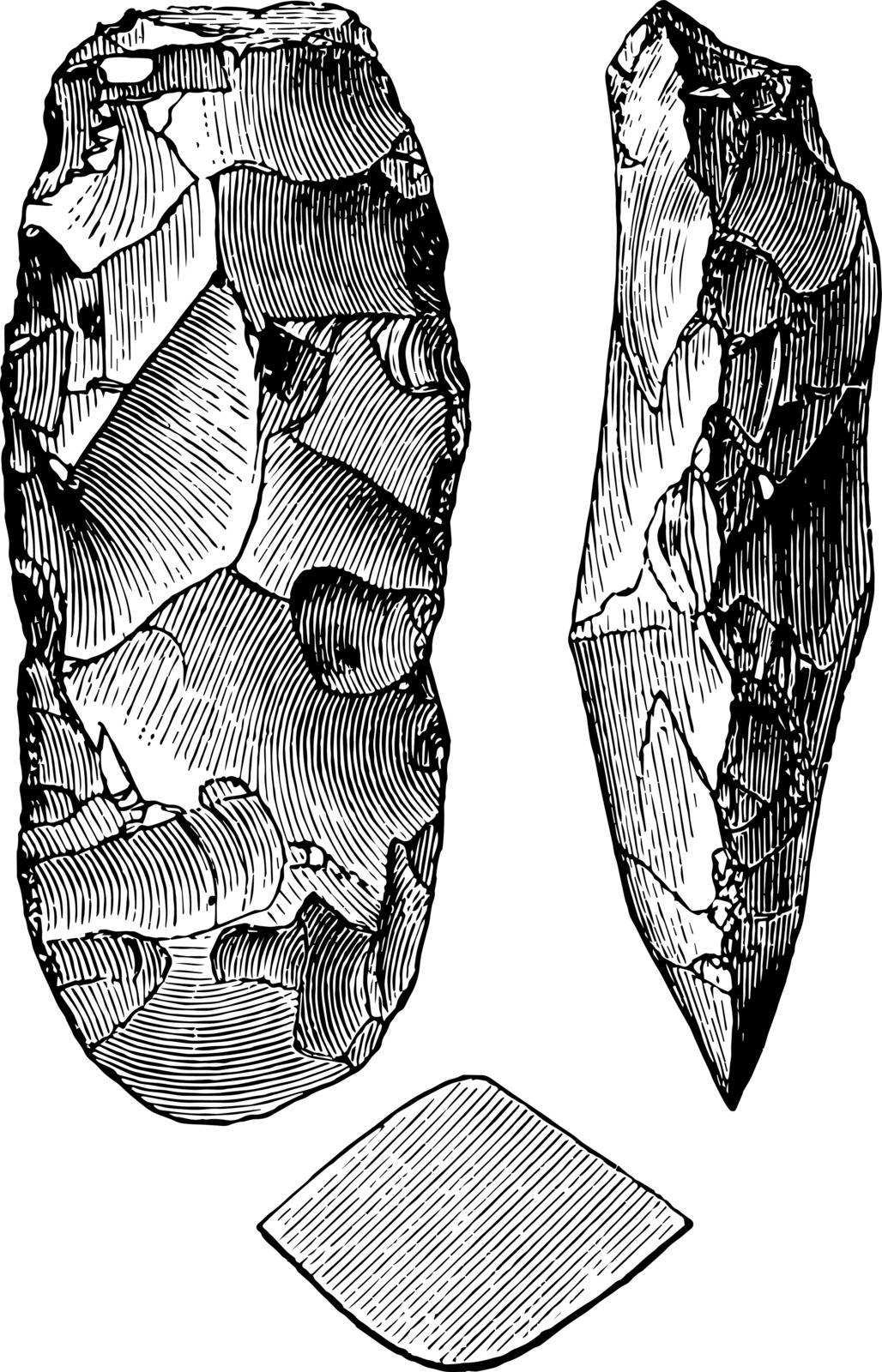 This image shows the Neolithic tool. There are 3 Neolithic tools. All the tools are full of black lines, vintage line drawing or engraving illustration.