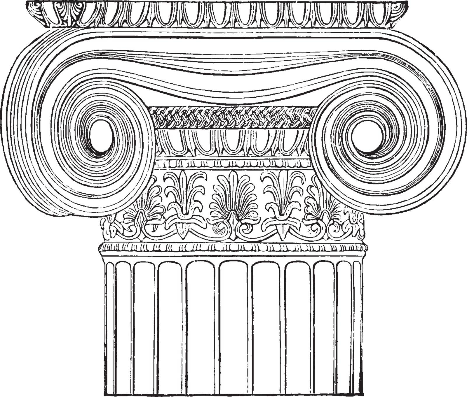 Ionic Angle Column from the Temple of Minerva Polias at Athens, Front, good effect of the Ionic capital, produced by the front-view, introduced between pillars, vintage line drawing or engraving illustration. 