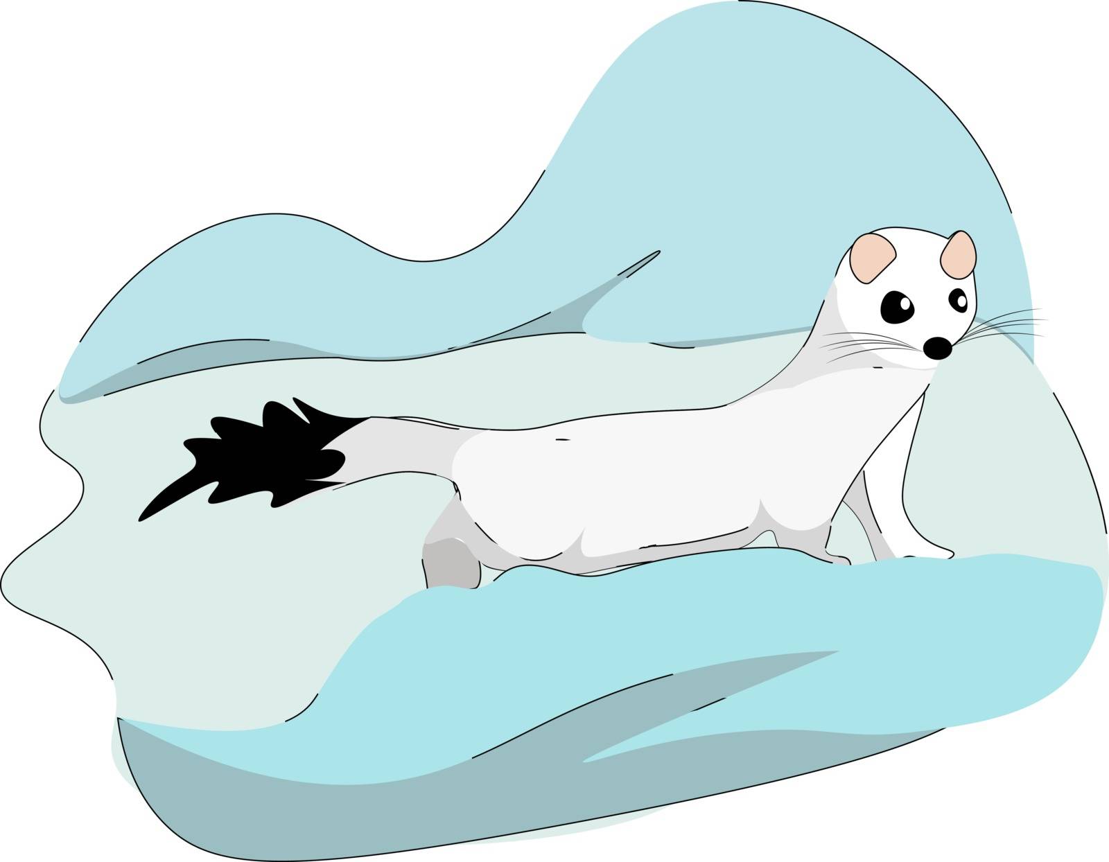 White stoat, illustration, vector on white background.
