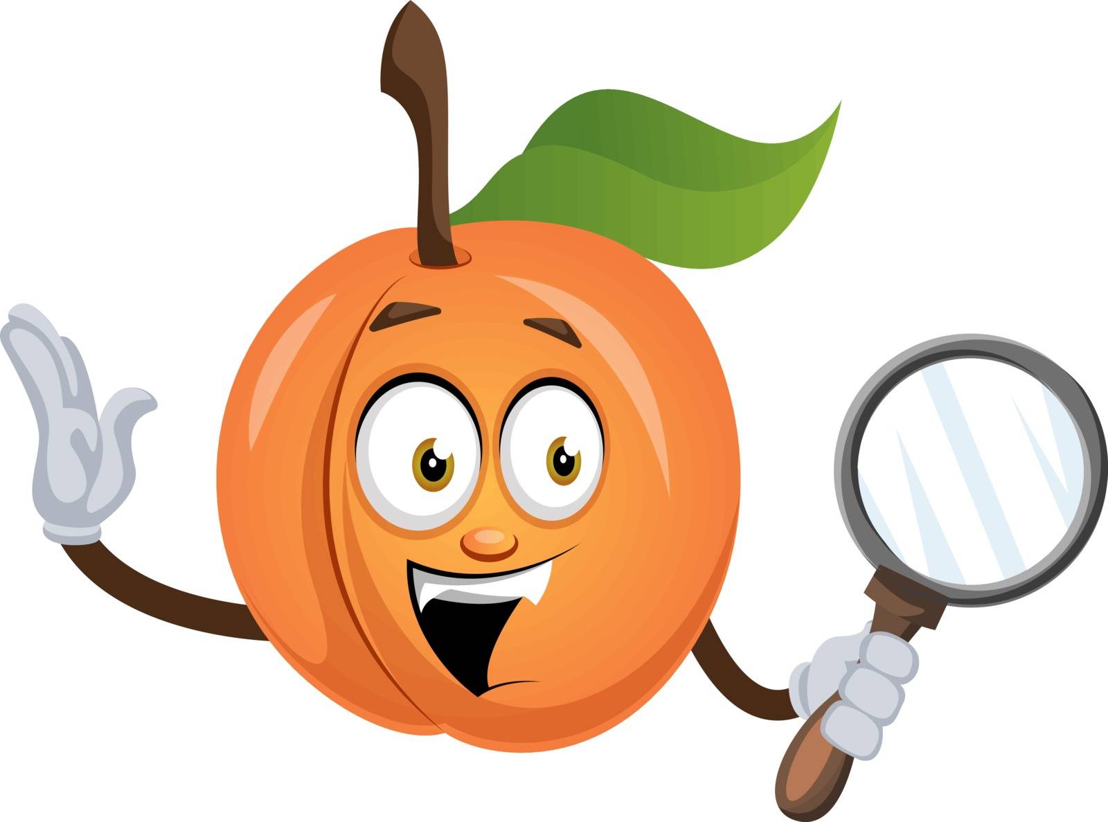 Apricot with magnifier tool, illustration, vector on white background.
