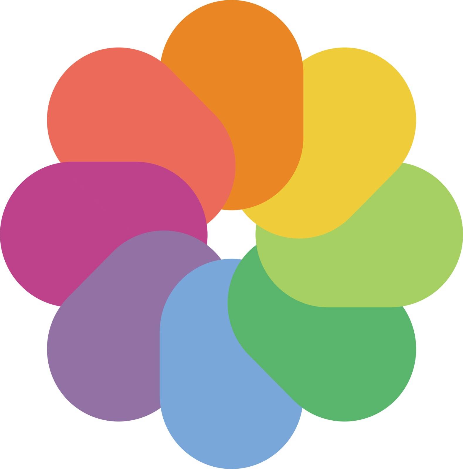 Rainbow flower palette vector or color illustration by Morphart