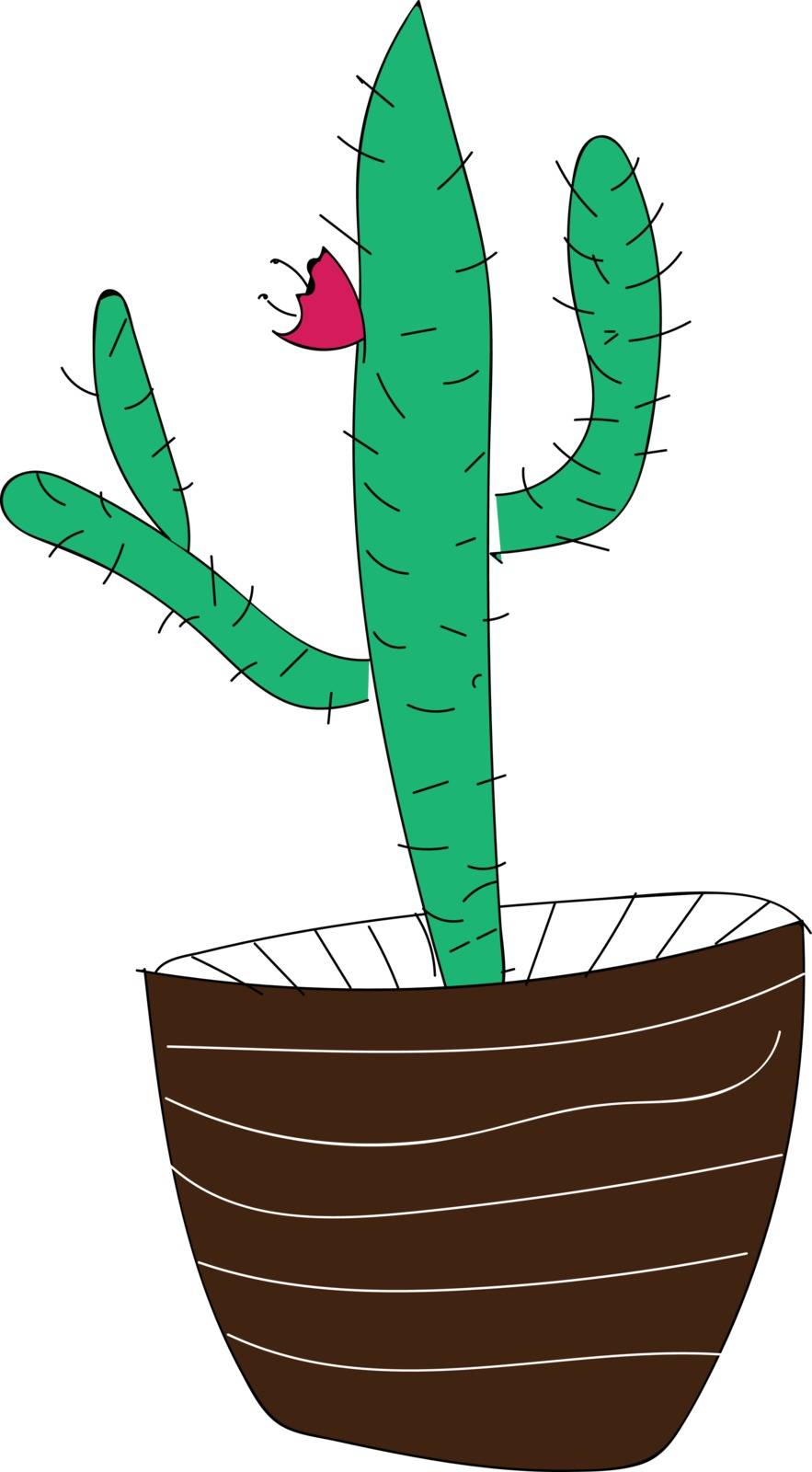 Blossom of a cactus vector illustration 