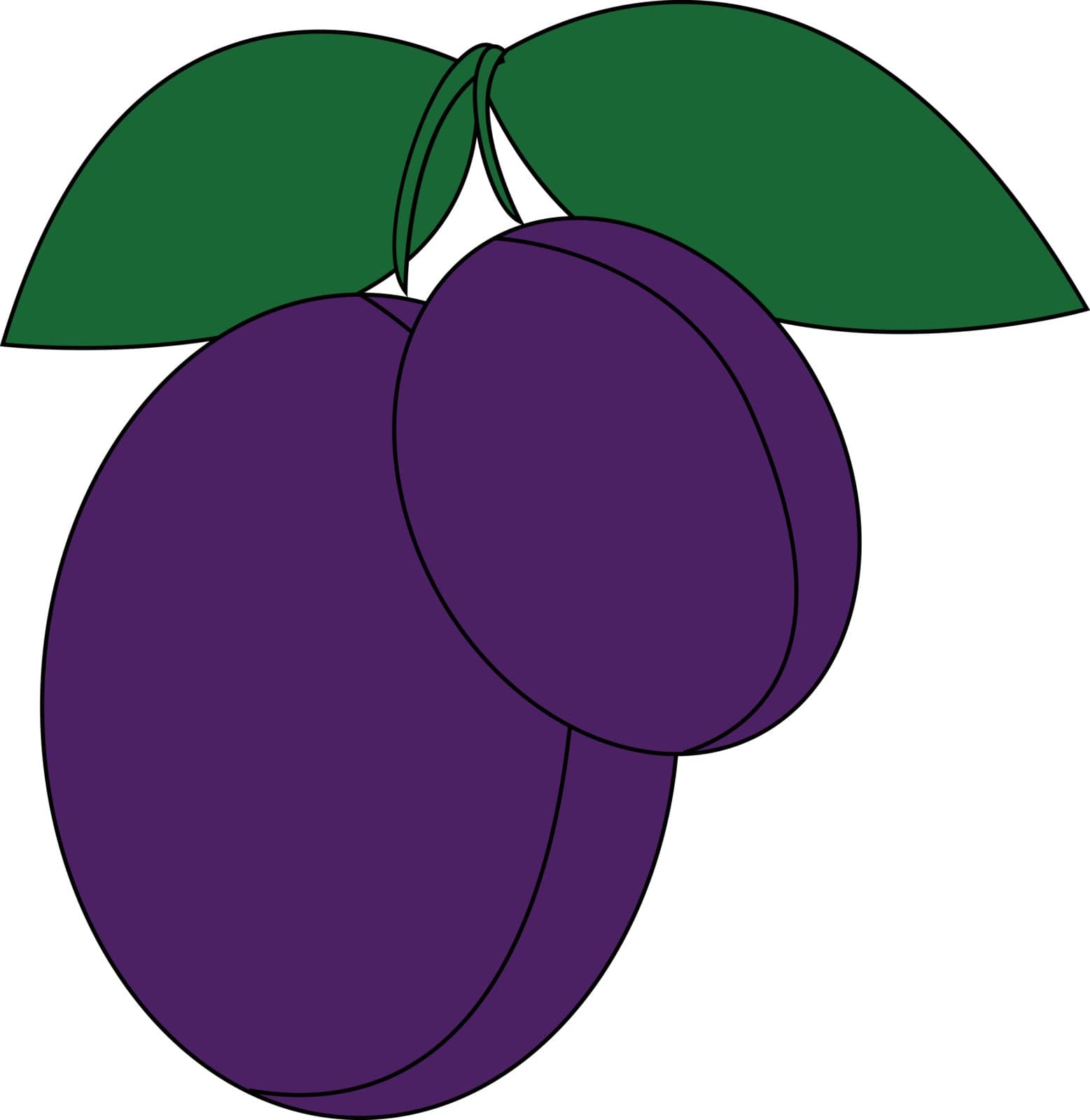 A pair of violet plumbs with green leaves vector color drawing or illustration