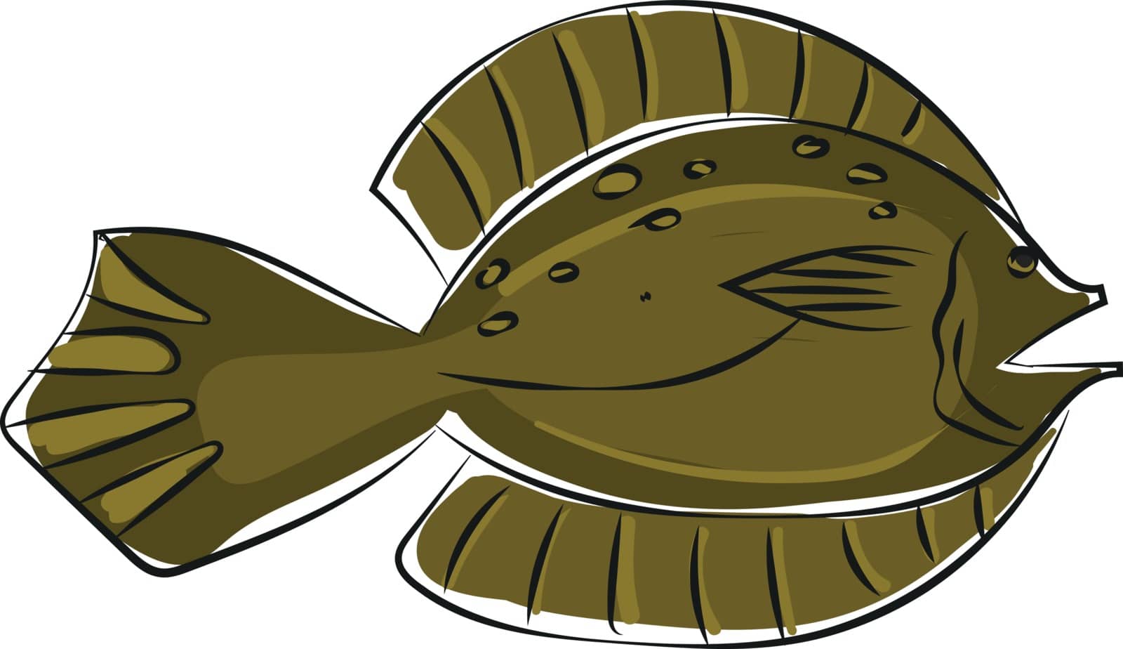 Clipart of a winter flounder fish/Pseudopleuronectes americanus  by Morphart