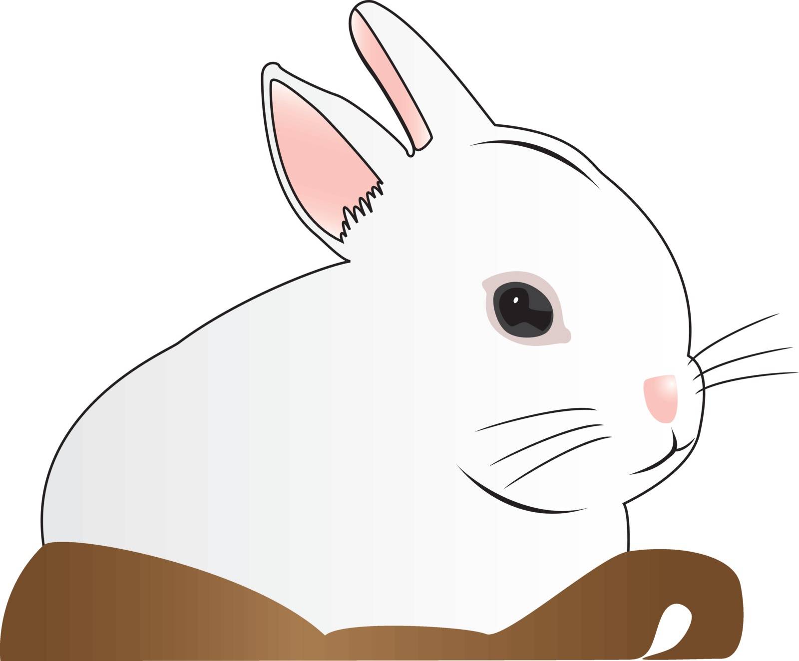 White rabbit in basket