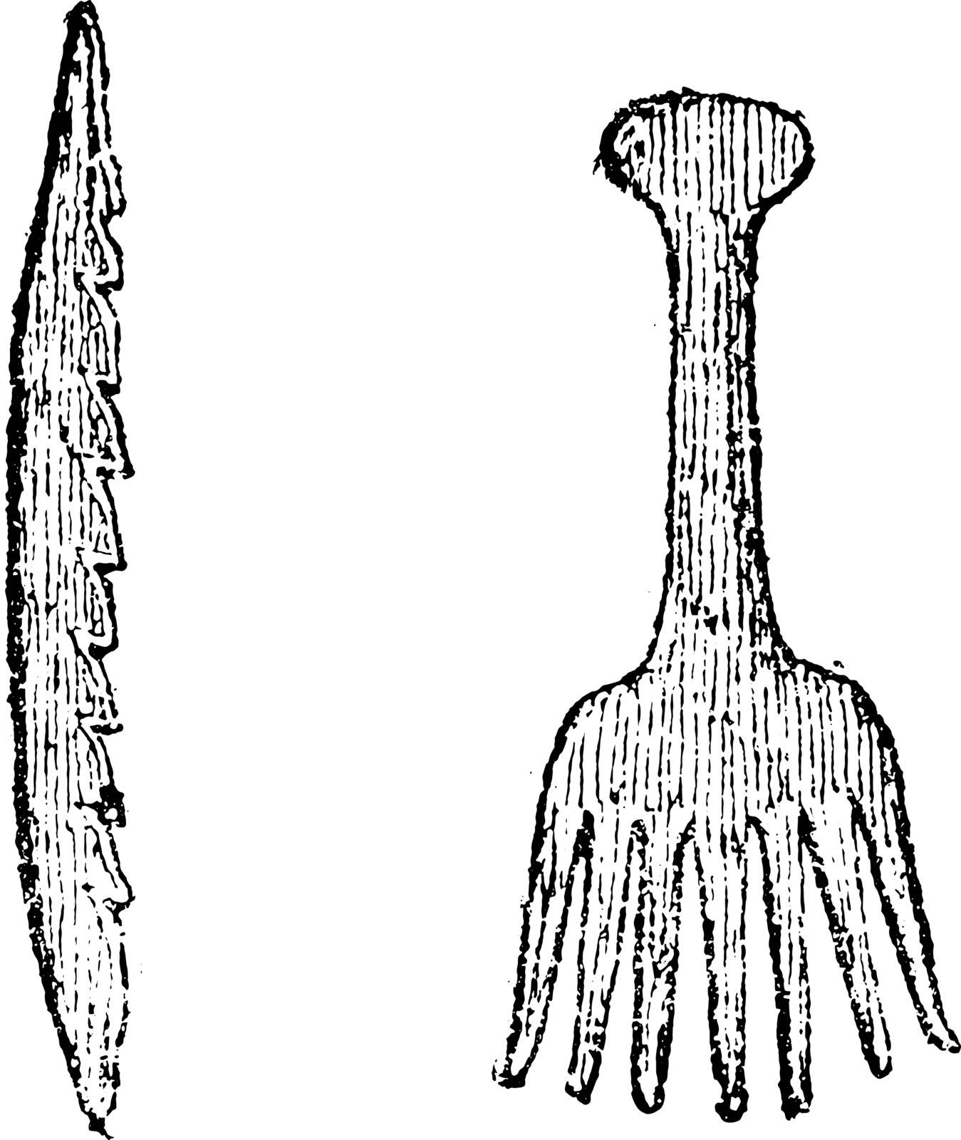 Bone harpoon, Bone comb from Denmark, vintage engraved illustration. From Natural Creation and Living Beings.
