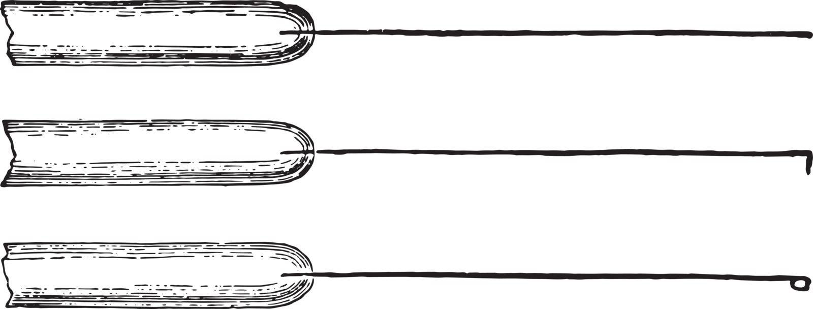 Platinum inoculating needles mounted in glass rods, vintage engraved illustration.
