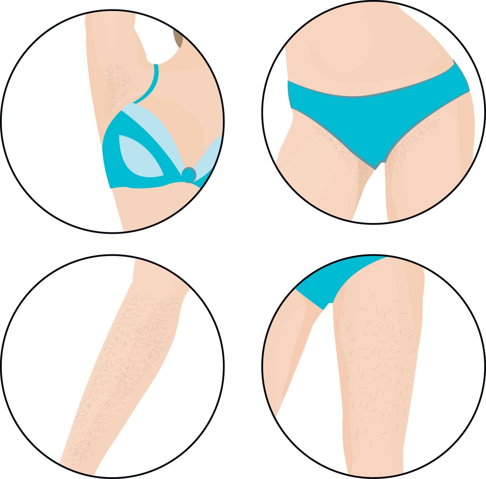 Hair removal zones  on a girl's body vector illustration