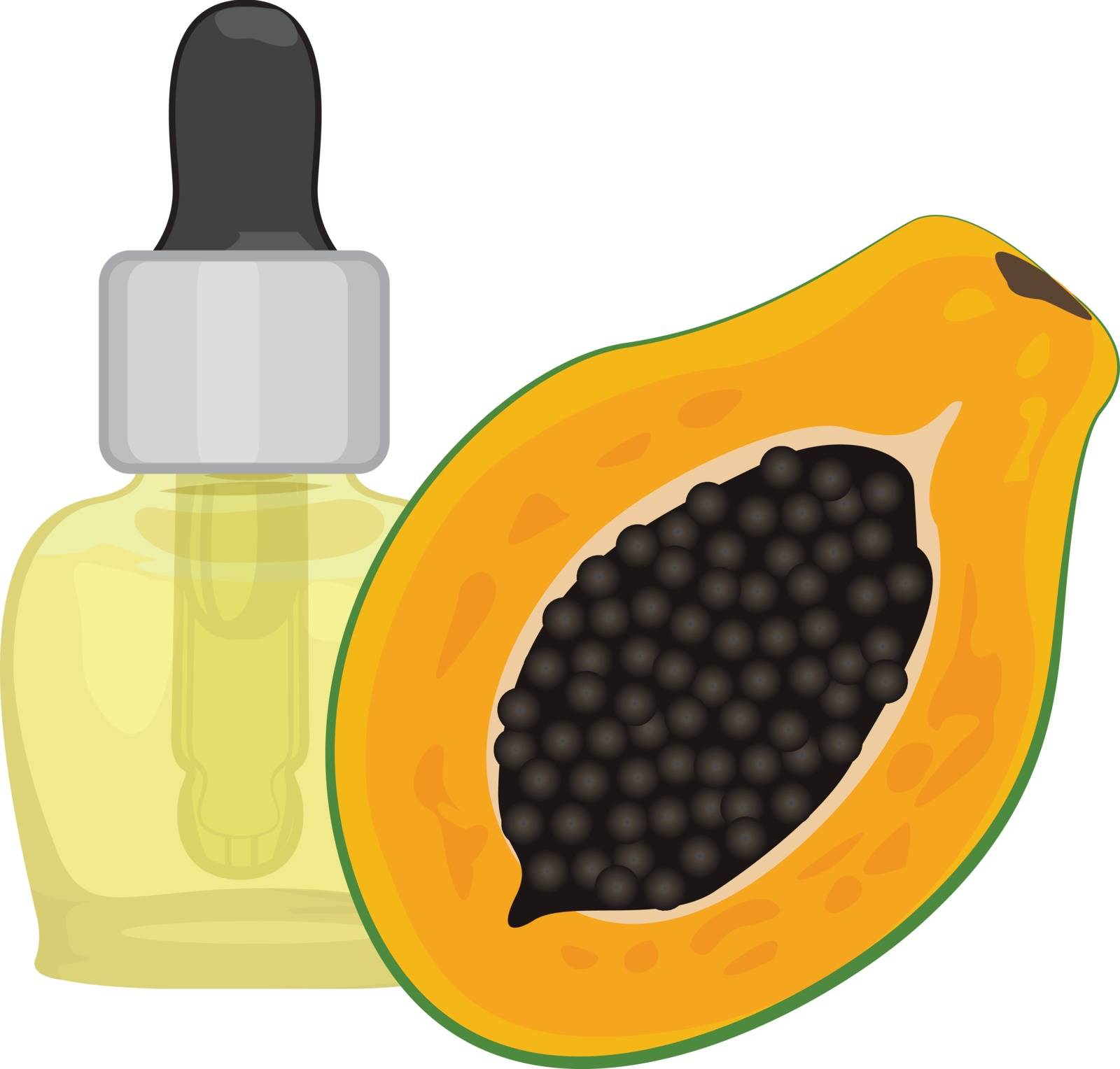 Papaya seed  essential oil vector illustration isolated