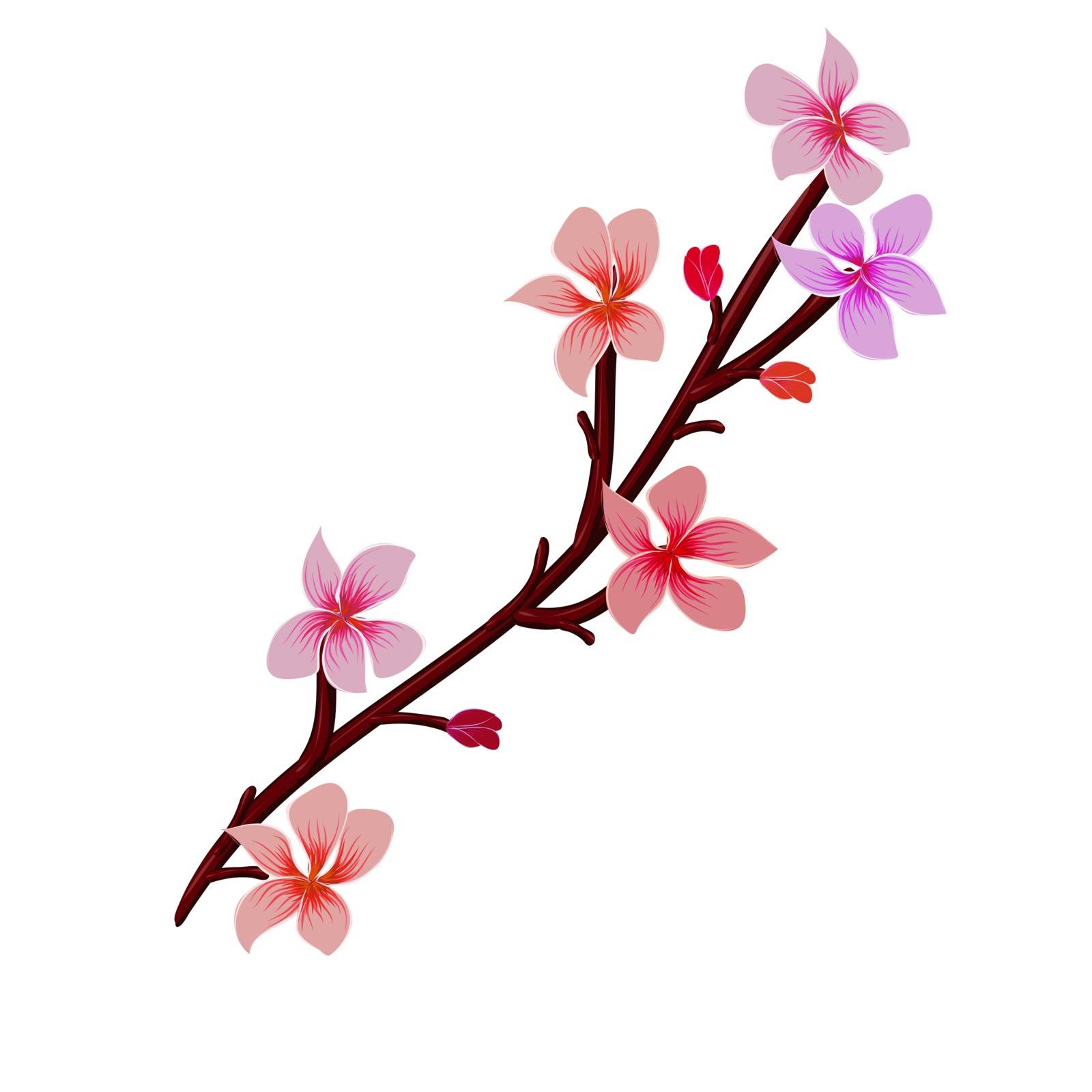 Background with floral pattern with blooming flowers. Vector illustration without gradients and transparency