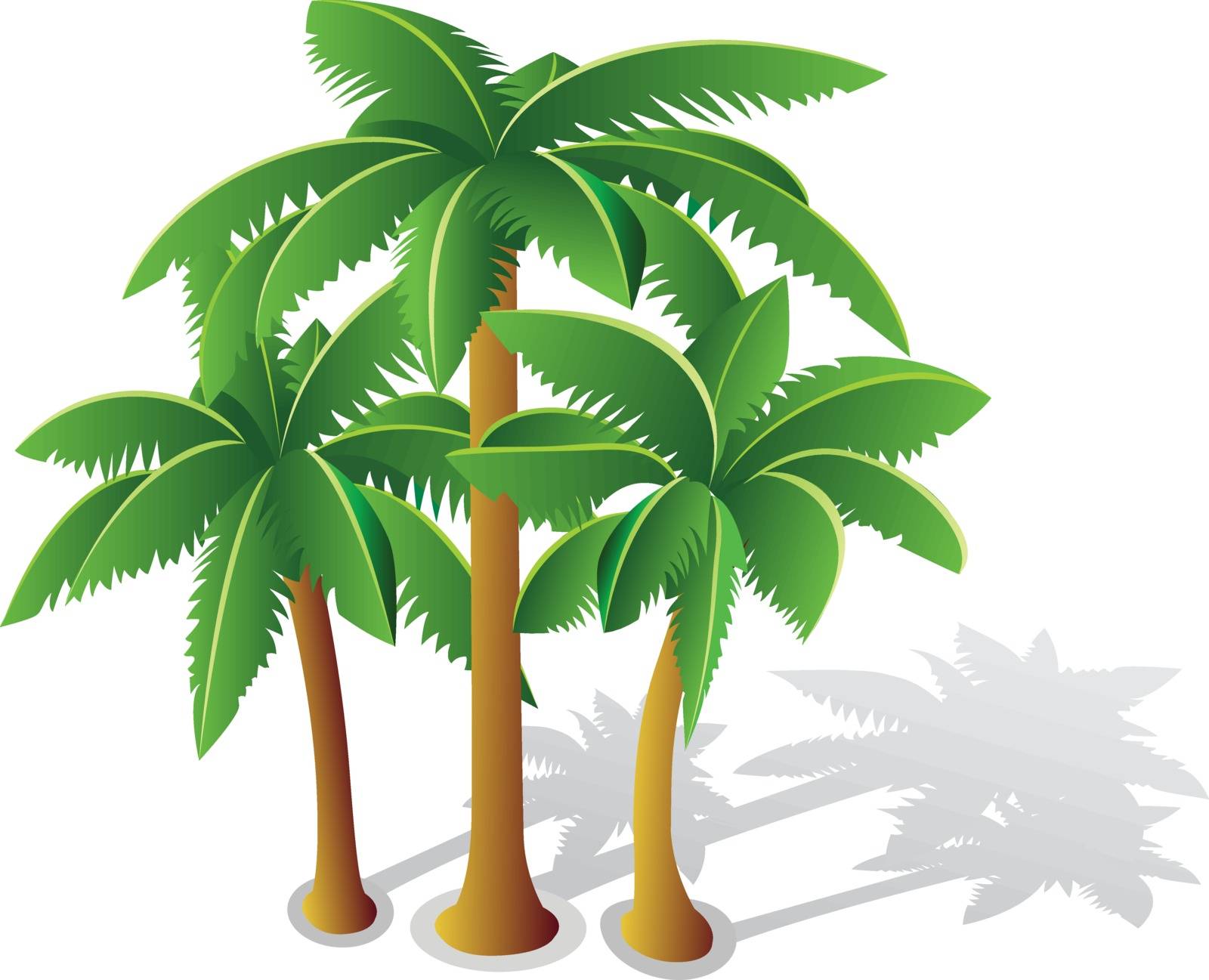 Tropical palms for web design and creative inspiration on white