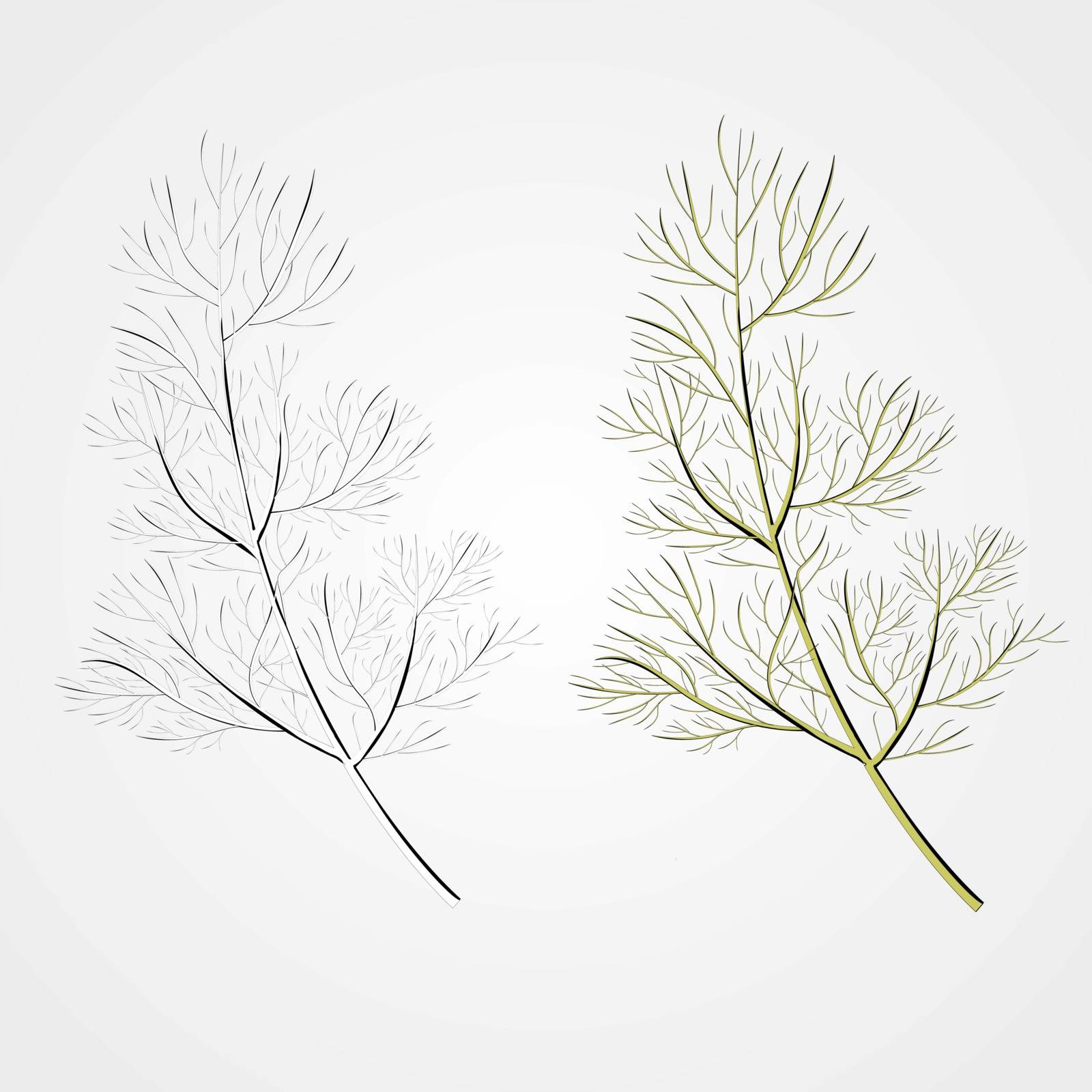 A sprig of dill. Isolated vector illustration. Herbal nature plant. Botanical illustration by Graffiti21