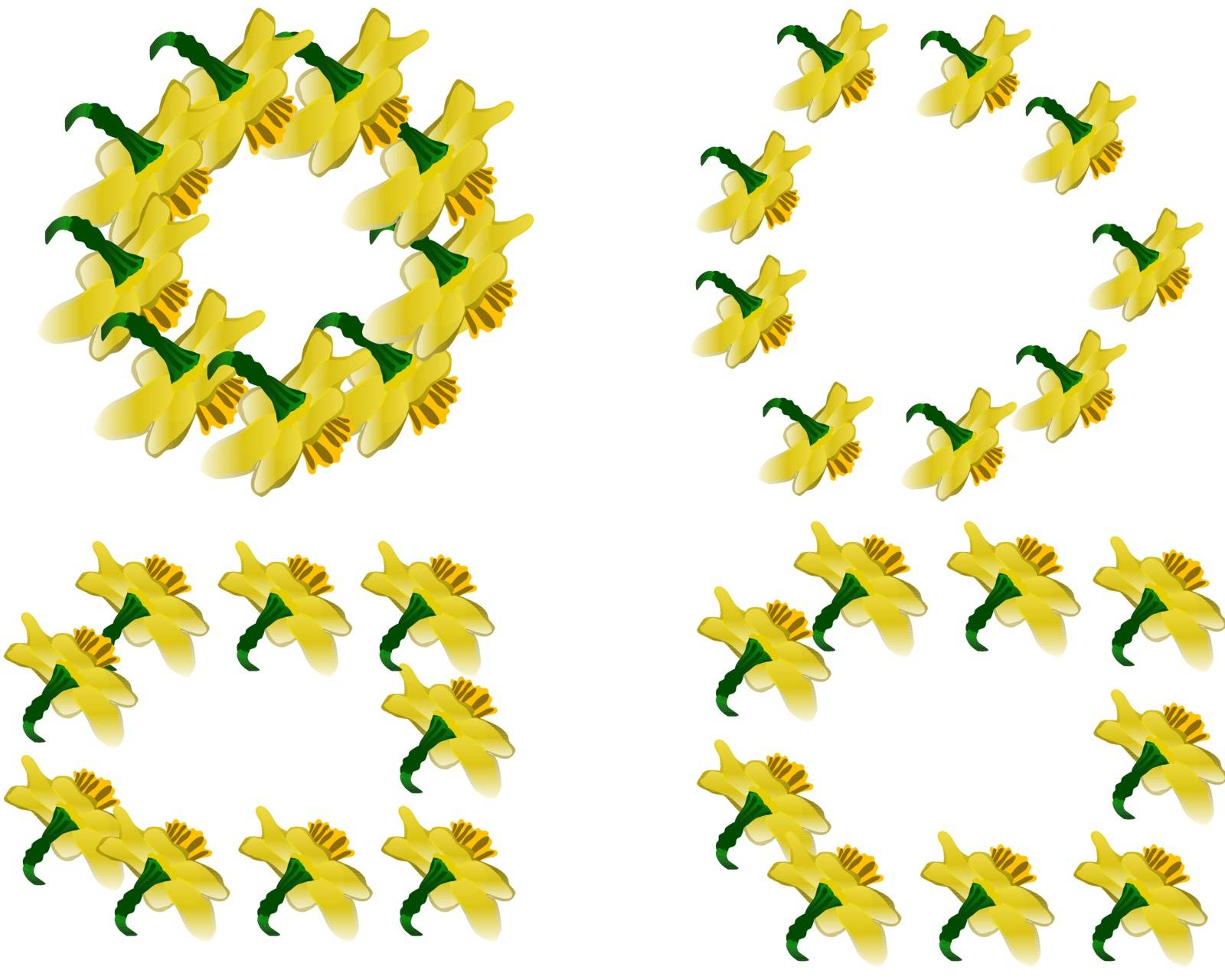 Floral motif banner. Spring frames template with daffodils isolated on white background. Vector illustration.