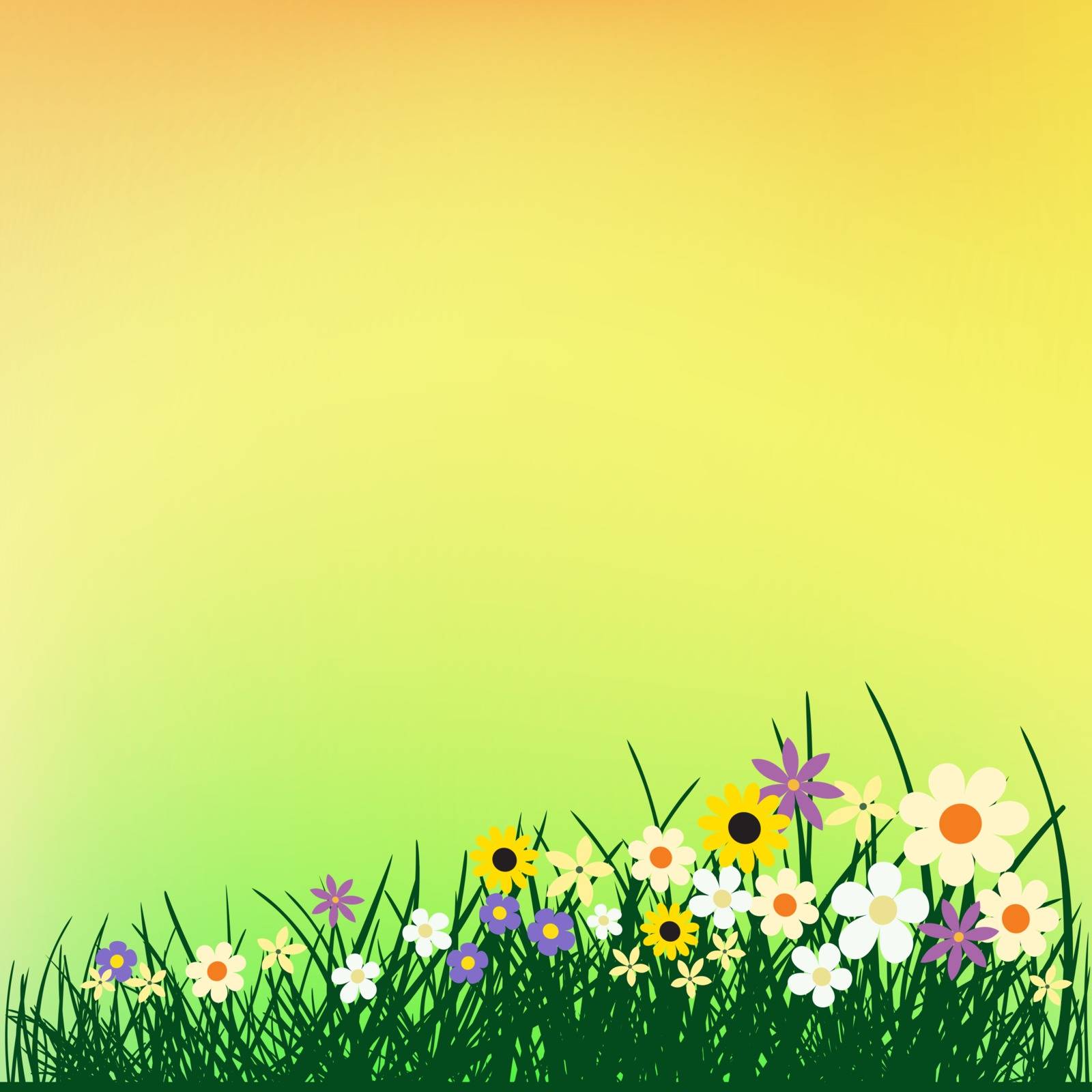 Flowers and grass on color backdrop. Spring or summer beautiful nature evening or morning meadow