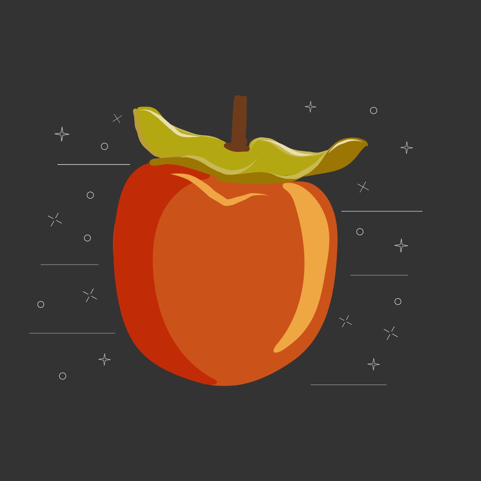 Kaki fruit sliced on black background vector illustration. Orange persimmon whole and cut for design, banner, menu, poster, apparel.