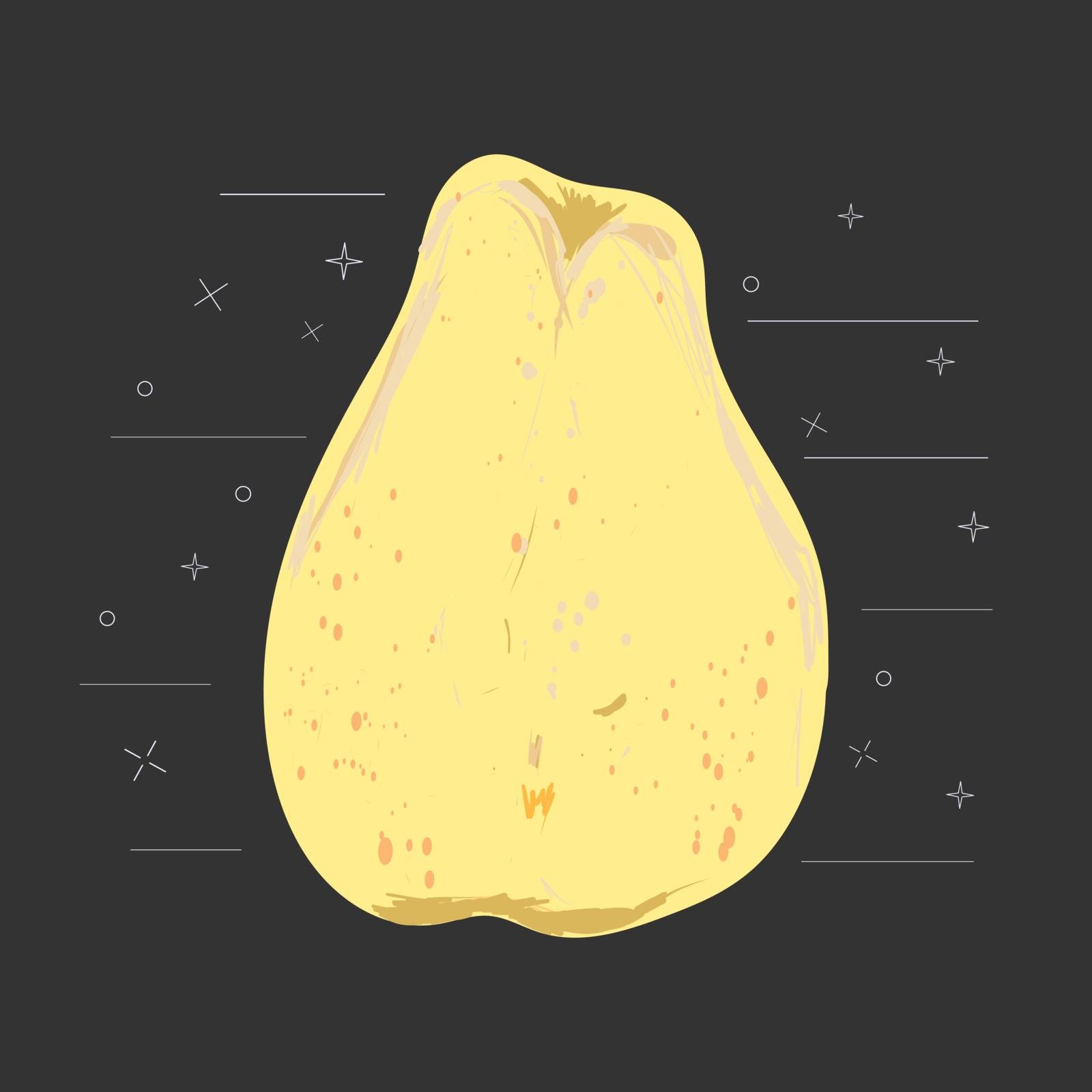 Yellow chinese whole pear on a black background vector illustration. Summer fruit set for design, banner, menu, poster.