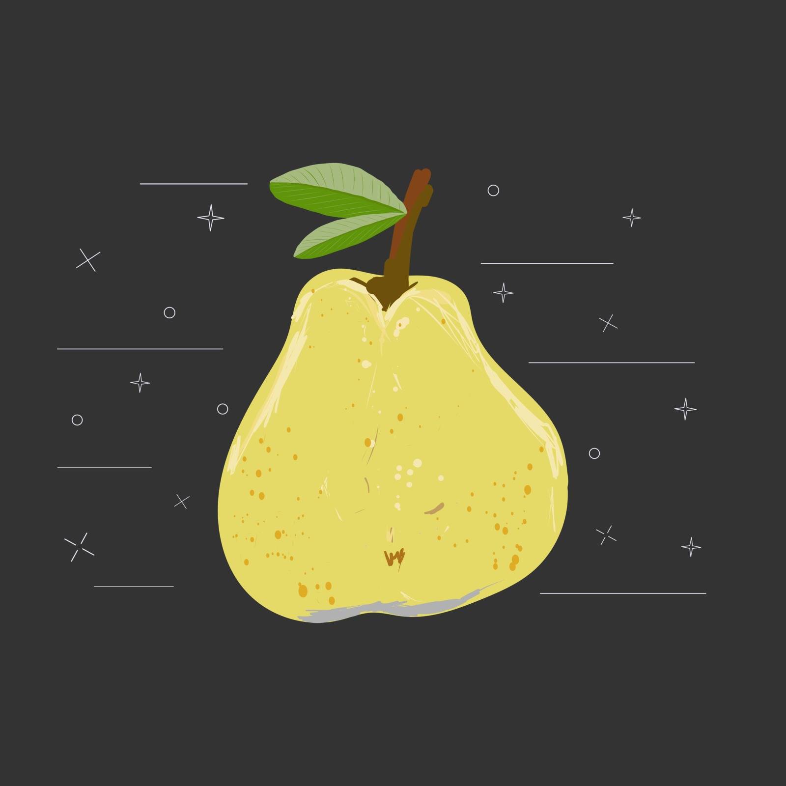 Yellow whole pear with leaves on a black background vector illustration. Summer fruit set for design, banner, menu, poster.
