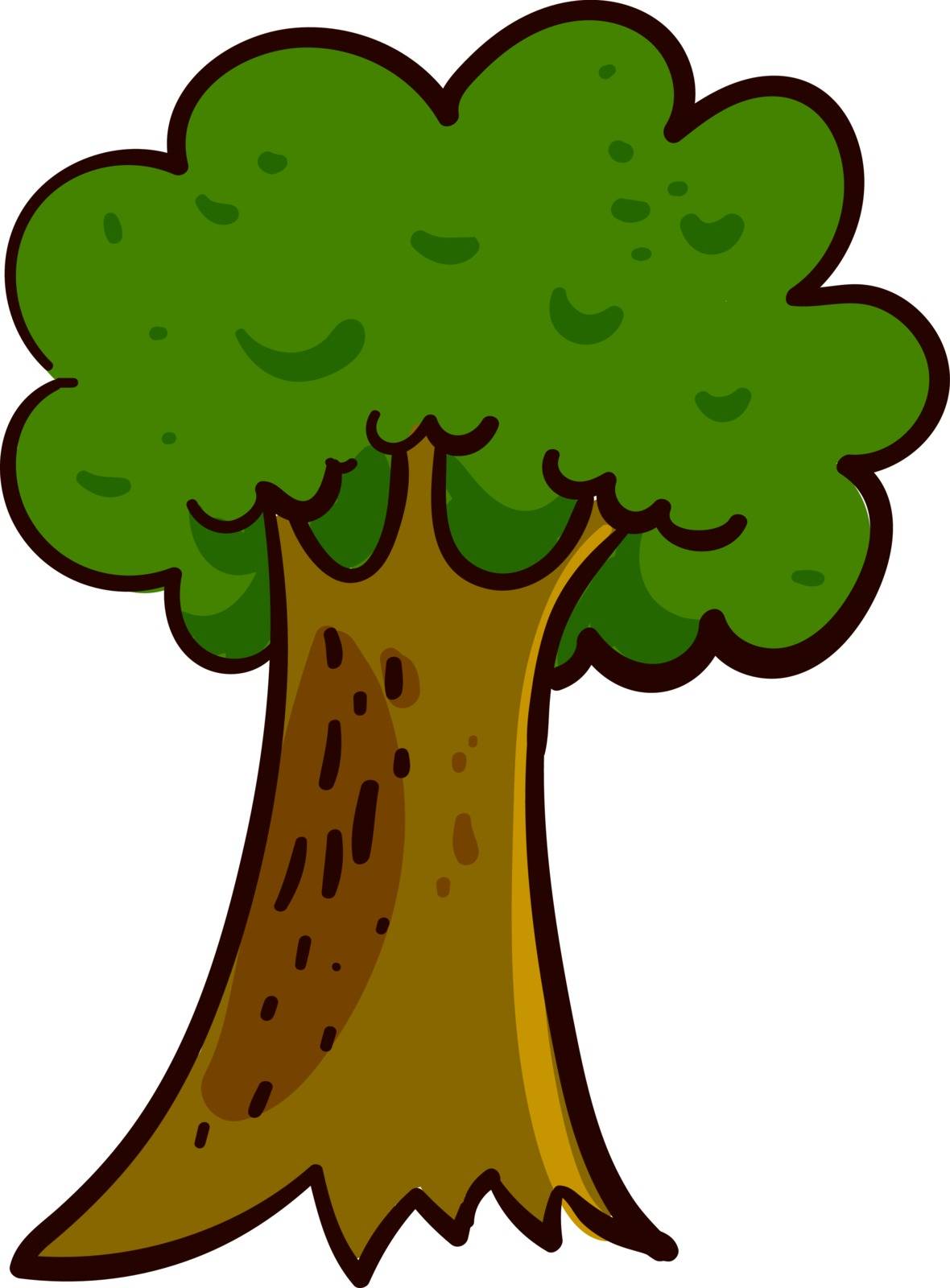 Oak tall tree, illustration, vector on white background by Morphart