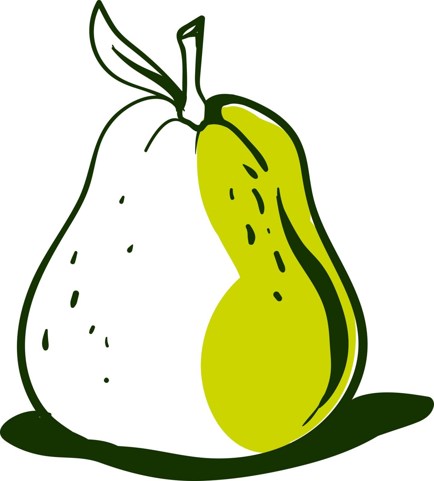 Guava sketch, illustration, vector on white background. by Morphart