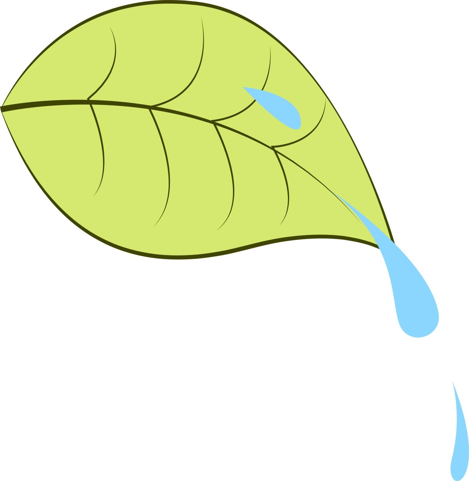 Morning dew, illustration, vector on white background.