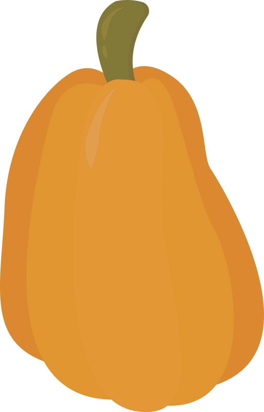 Small pumpkin, illustration, vector on white background. by Morphart