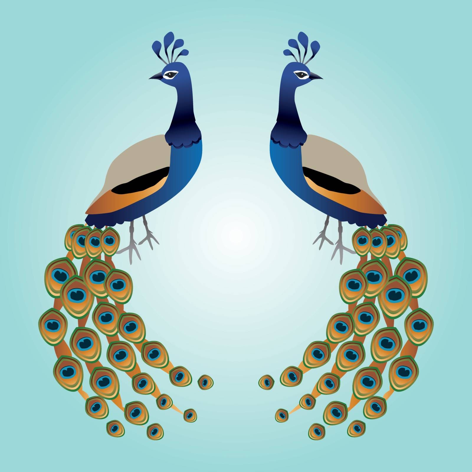Two graceful male peacocks illustration